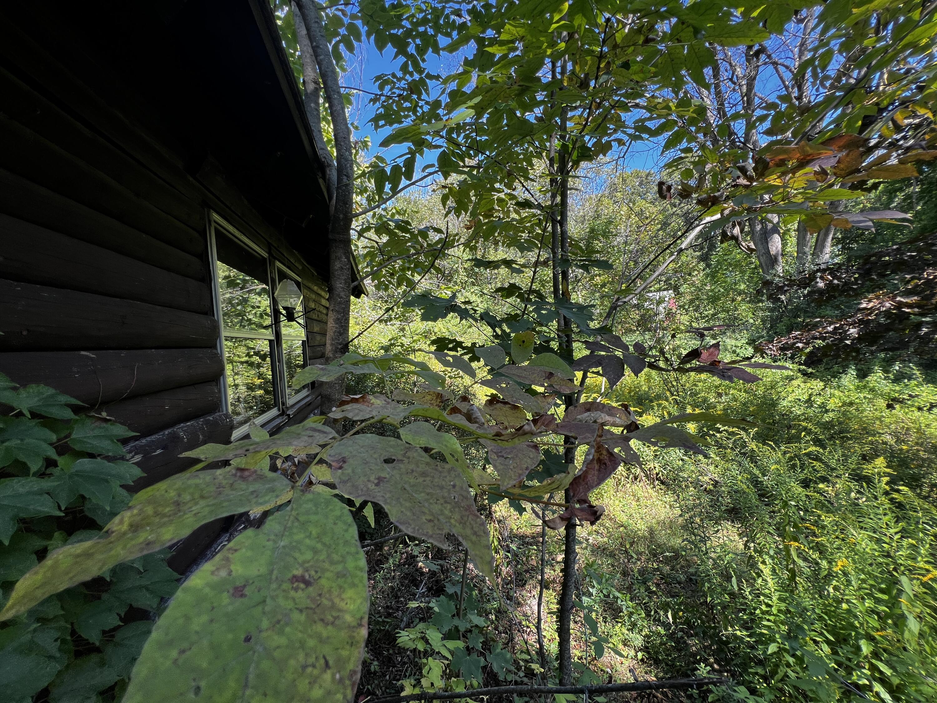 155 & 151 Gloucester Hill Road Property Photo 16