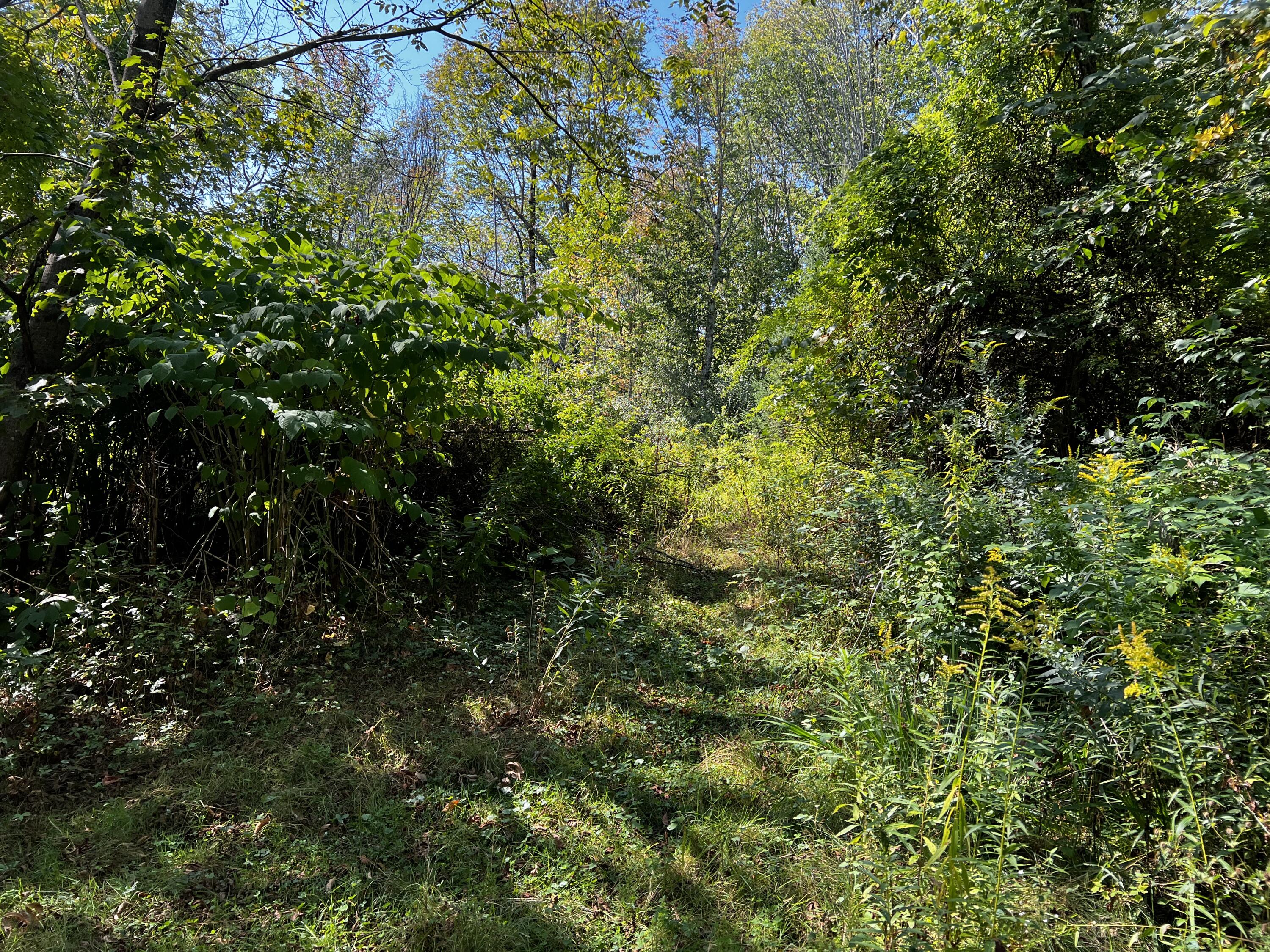 155 & 151 Gloucester Hill Road Property Photo 17