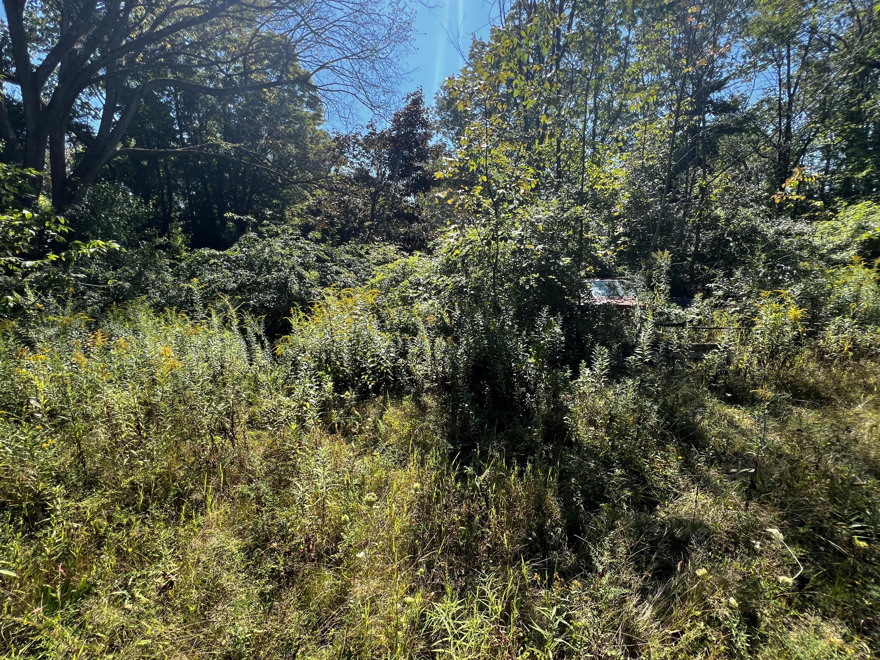 155 & 151 Gloucester Hill Road Property Photo 18