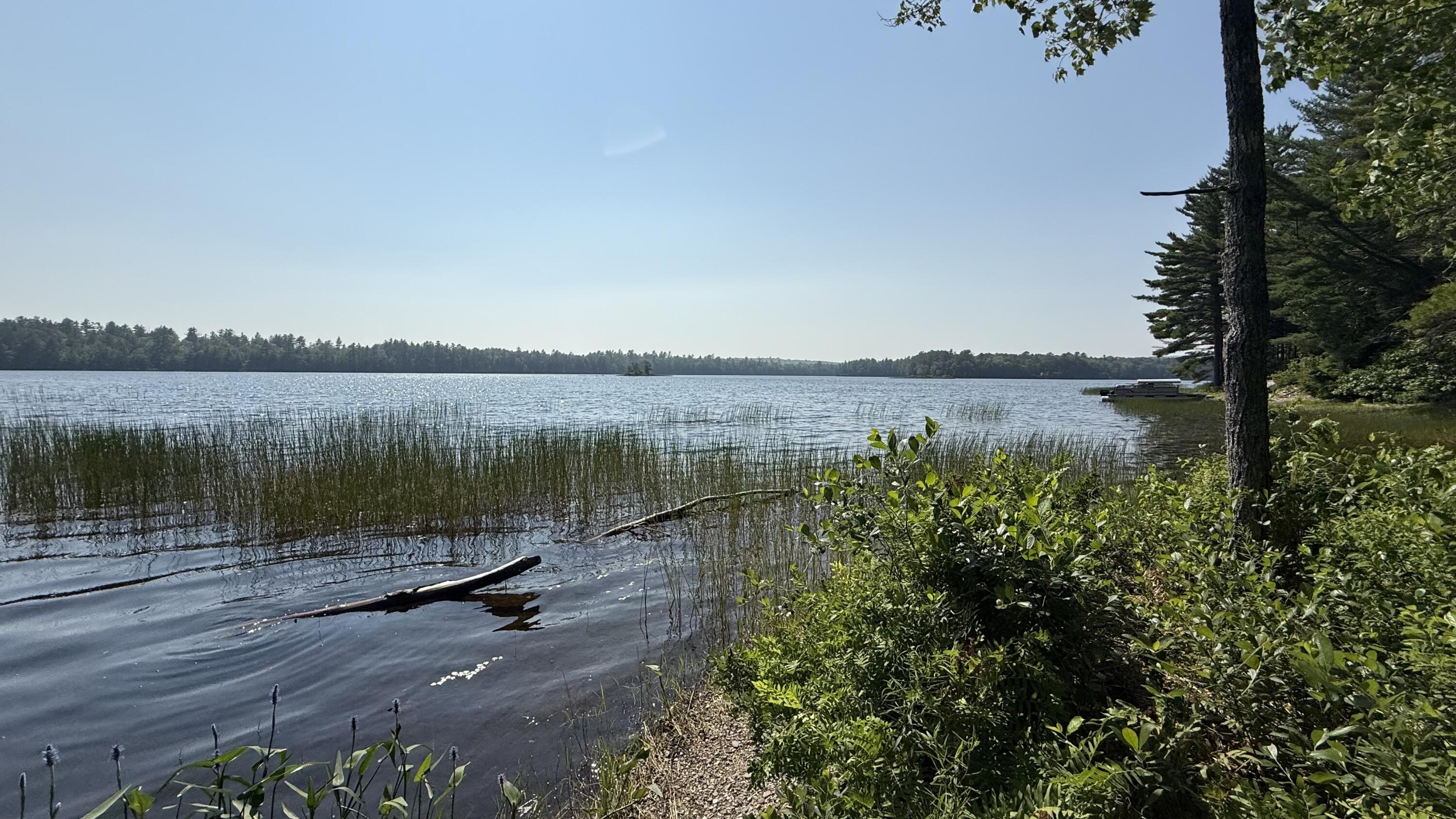 Lot #1 Bucksport Road Property Photo 11