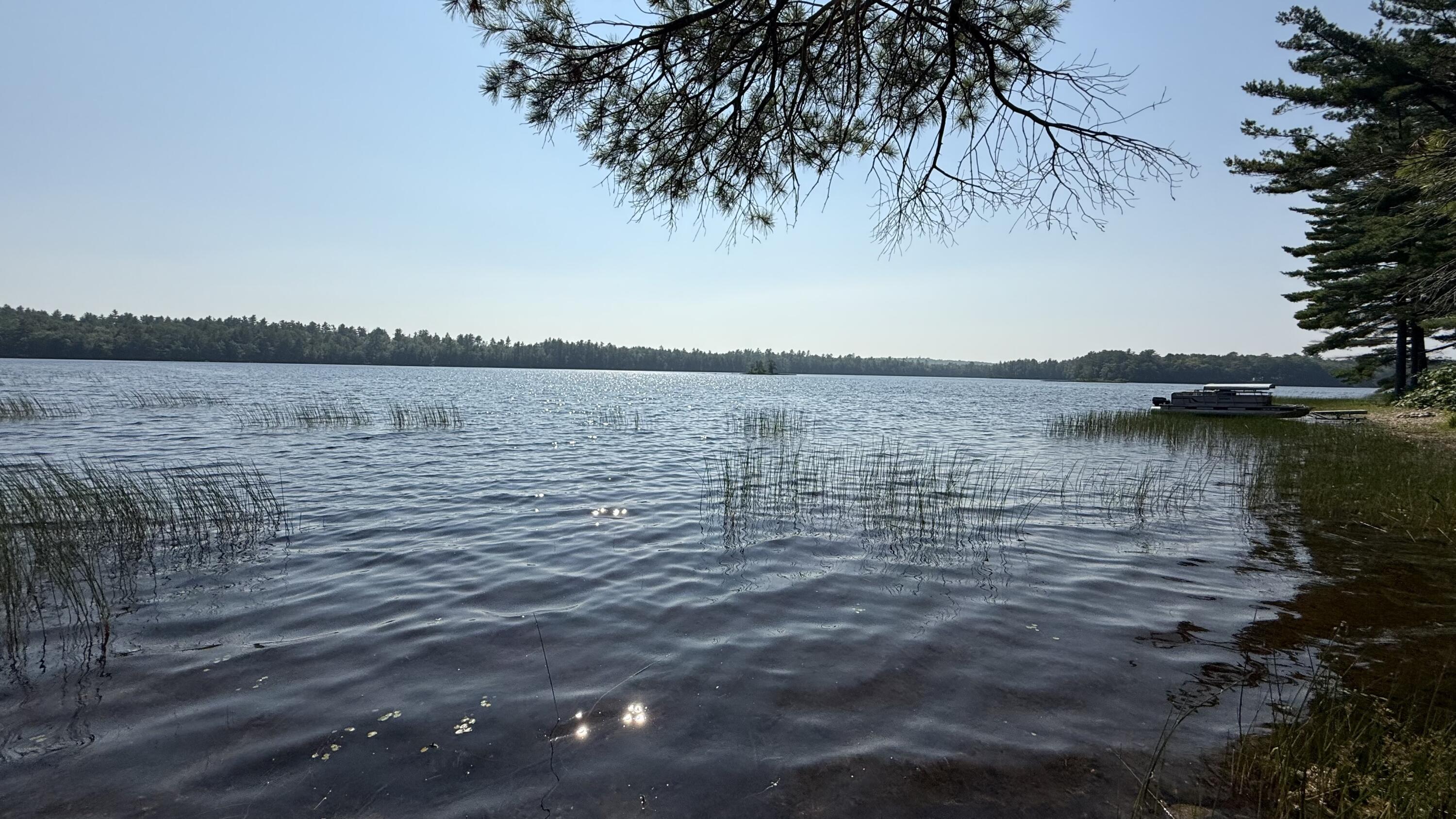 Lot #1 Bucksport Road Property Photo 13