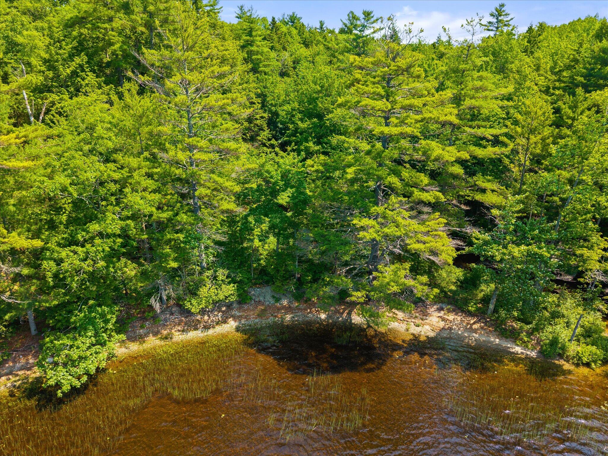 Lot #1 Bucksport Road Property Photo 14