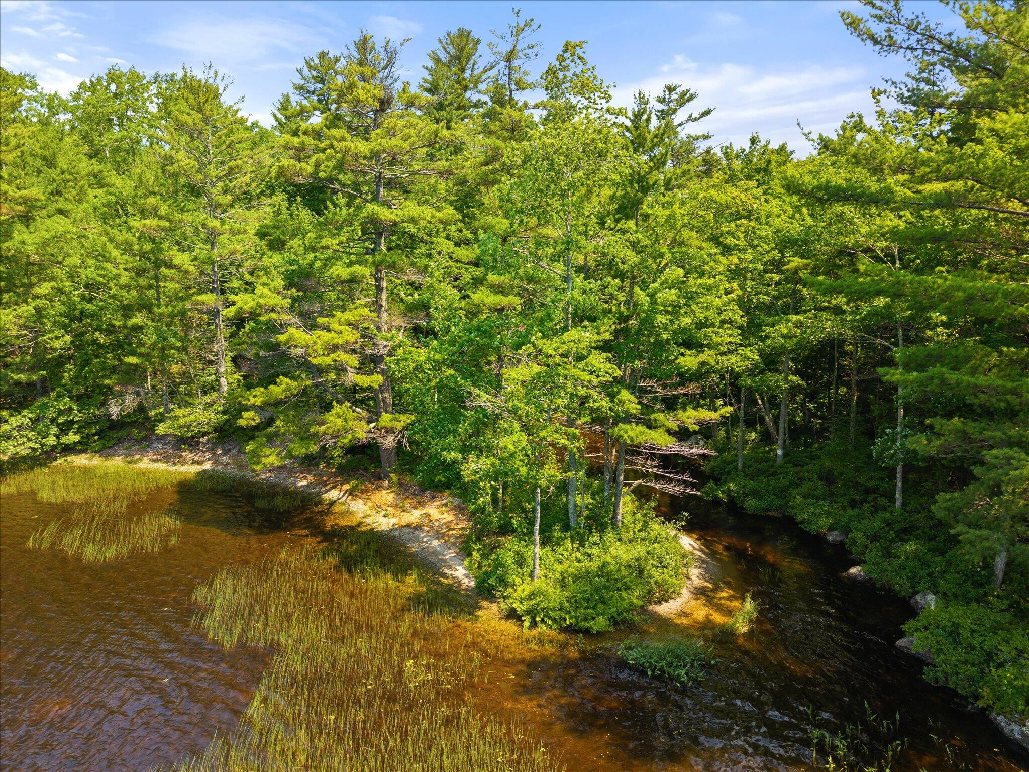 Lot #1 Bucksport Road Property Photo 15