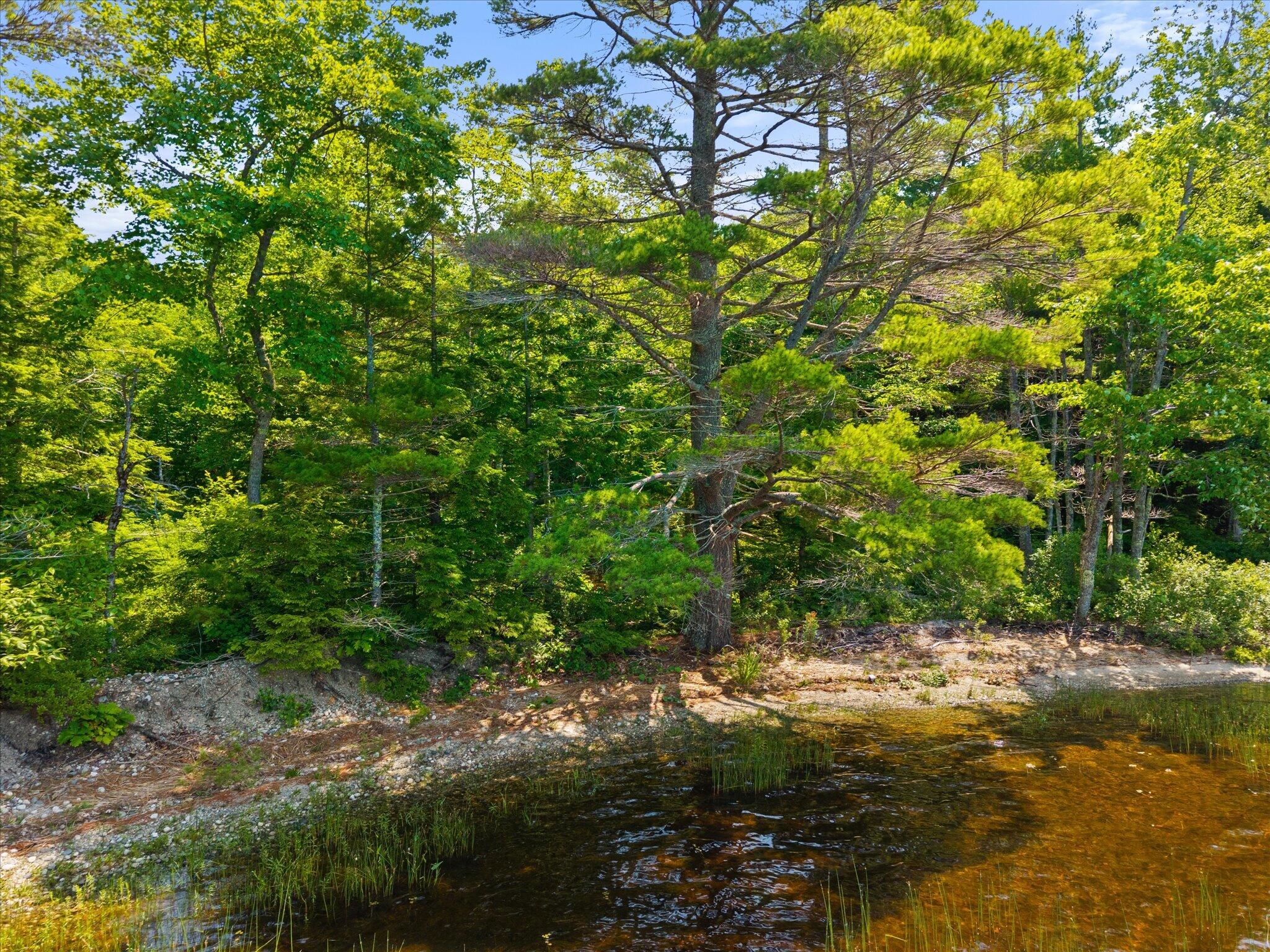 Lot #1 Bucksport Road Property Photo 17