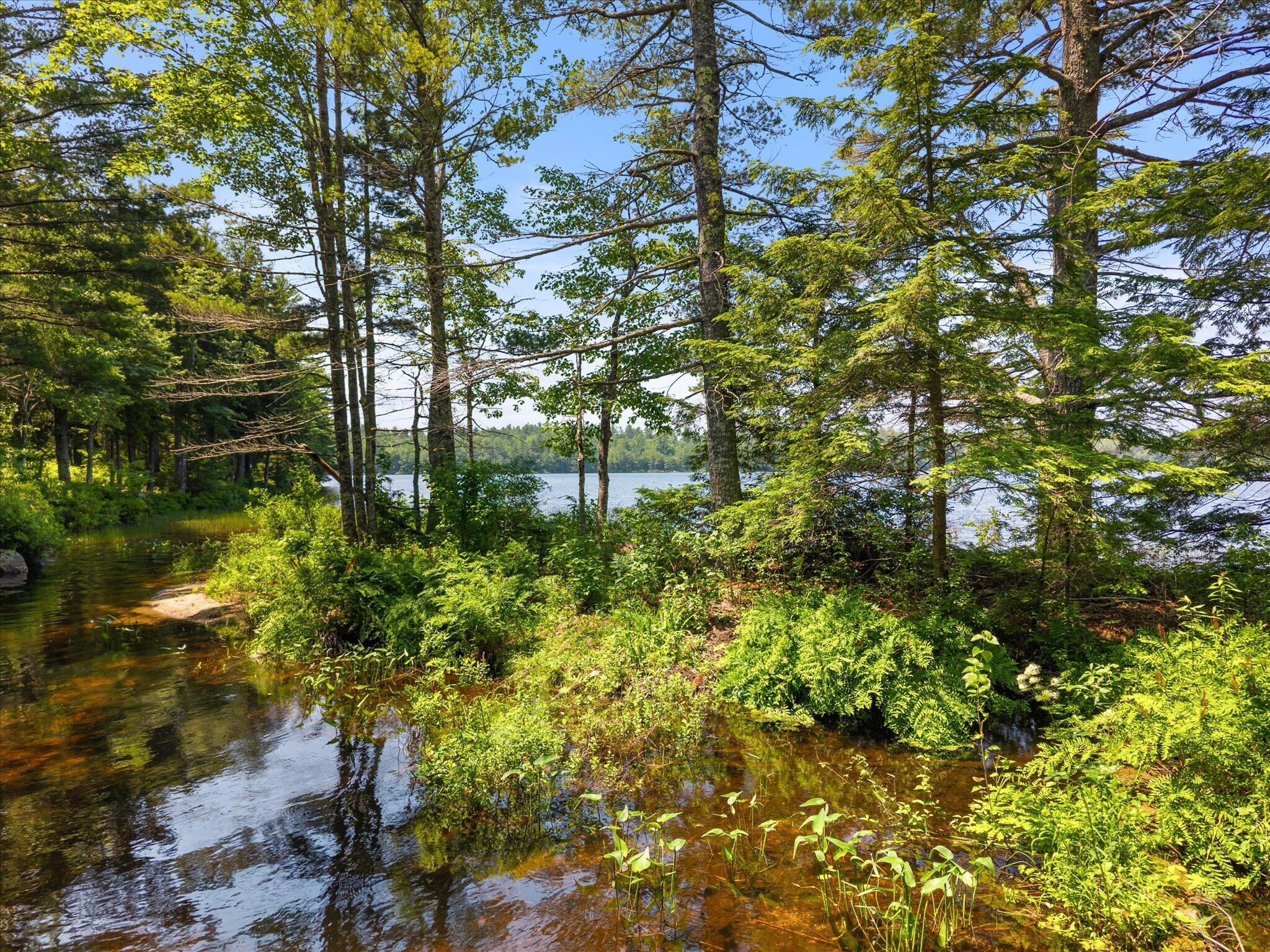 Lot #1 Bucksport Road Property Photo 31