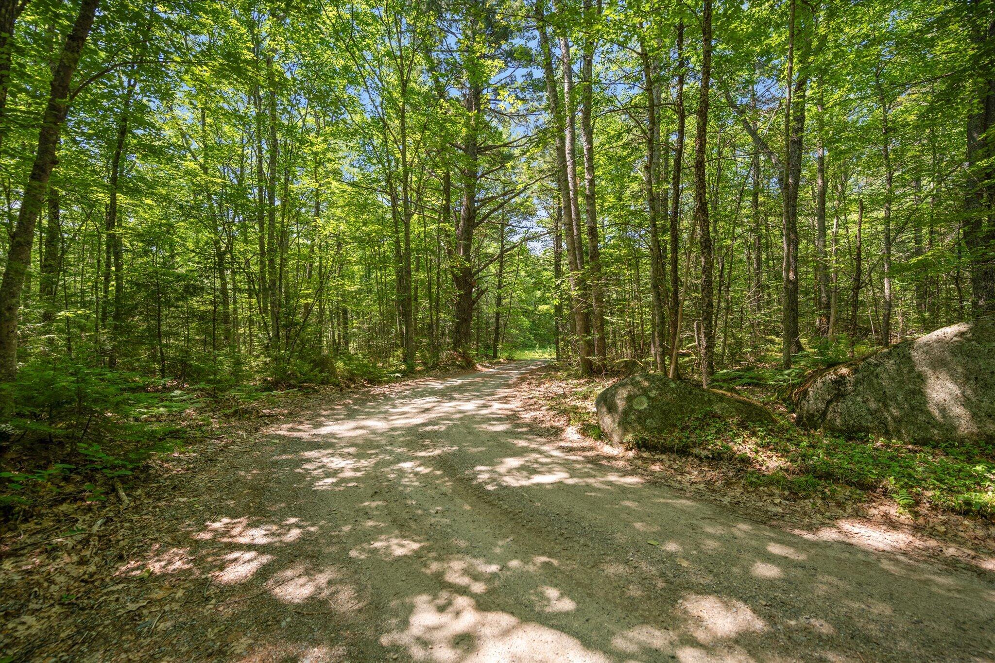 Lot #1 Bucksport Road Property Photo 37