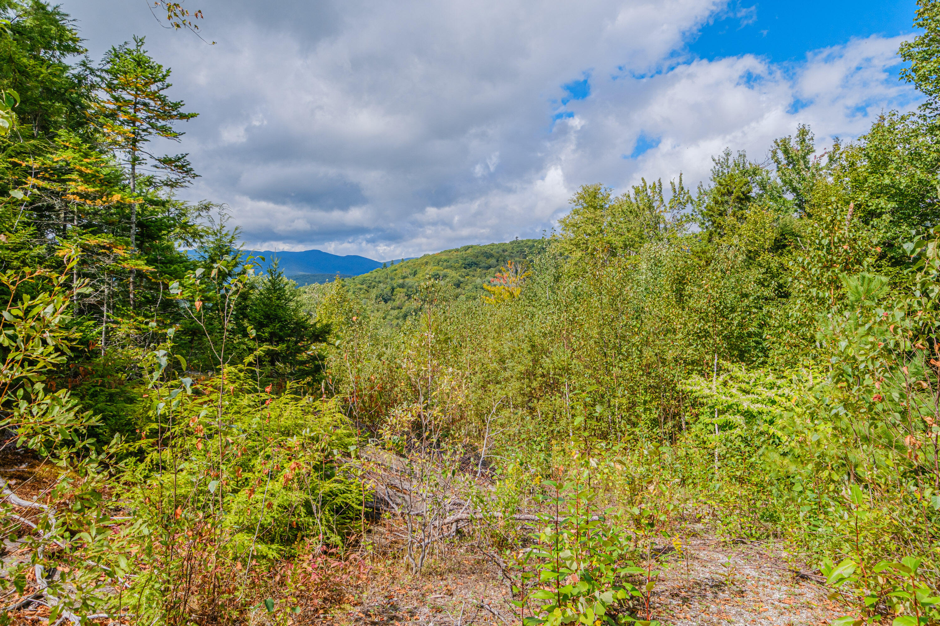 Lot 86 Powder Ridge Subdivision Road Property Photo 2