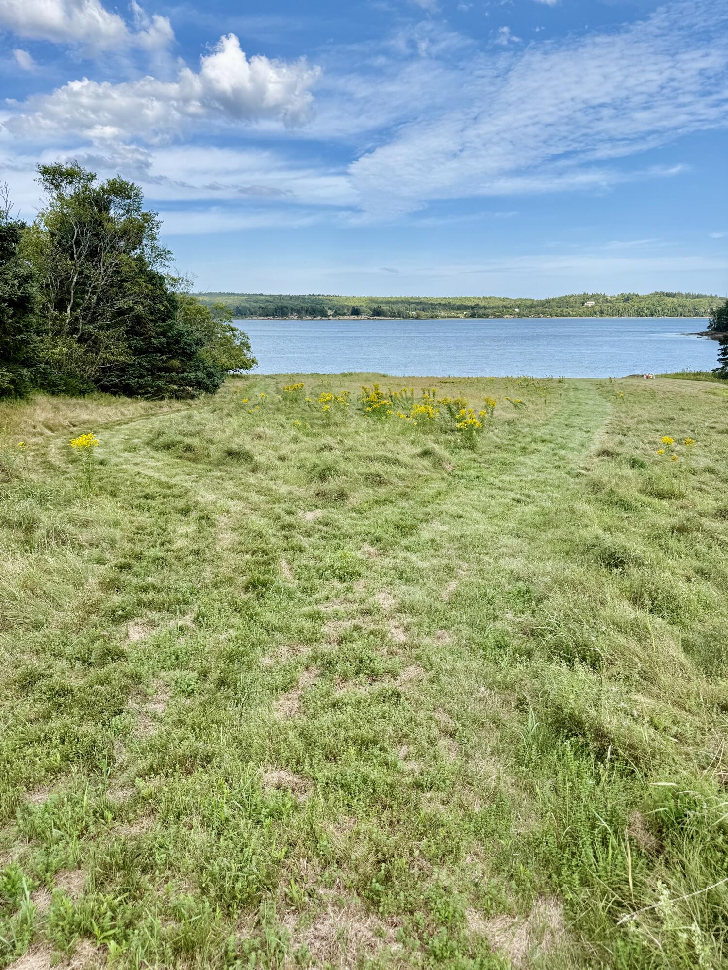 337 W Side Road Property Photo 50