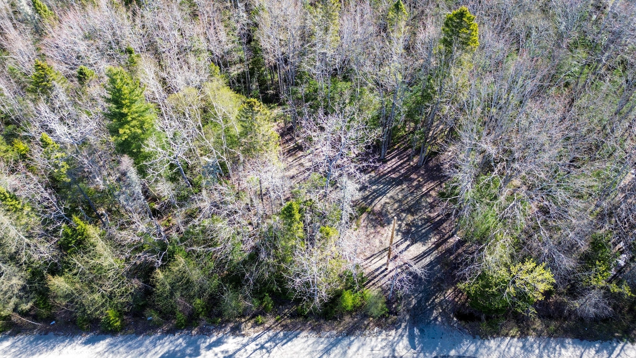 Map 12 Lot 36-2 Property Photo 1