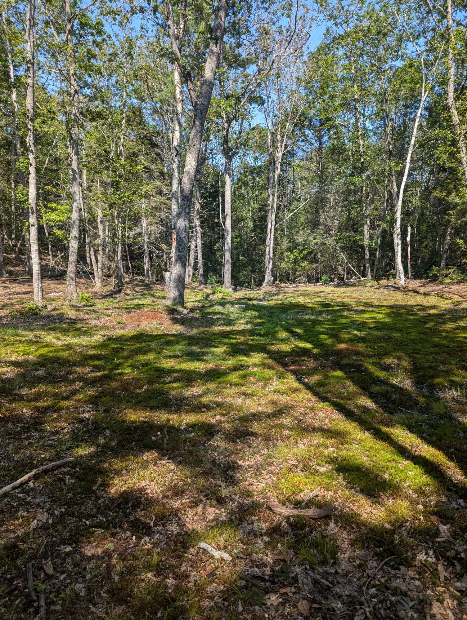 0 Route #144 (main Road) Property Photo 4