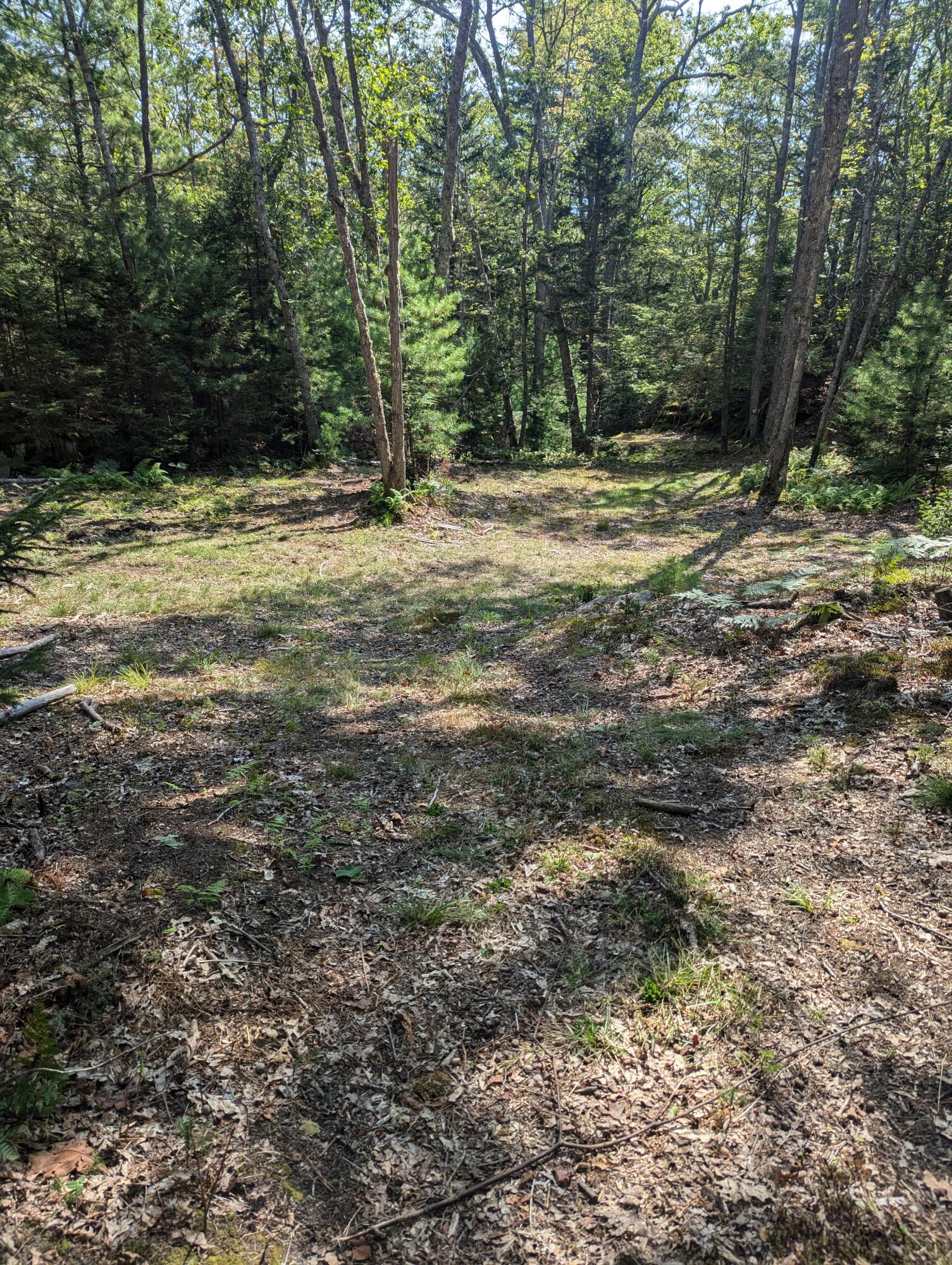 0 Route #144 (main Road) Property Photo 10