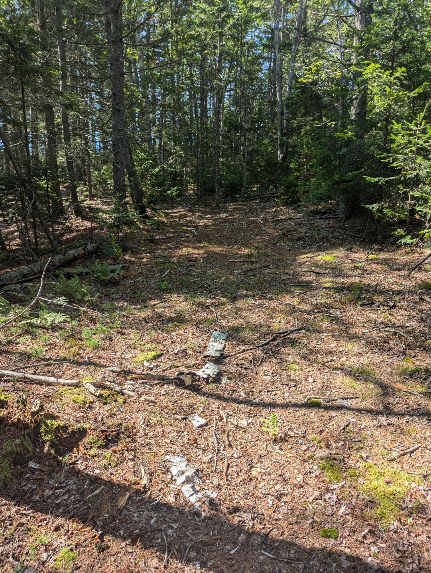 0 Route #144 (main Road) Property Photo 12