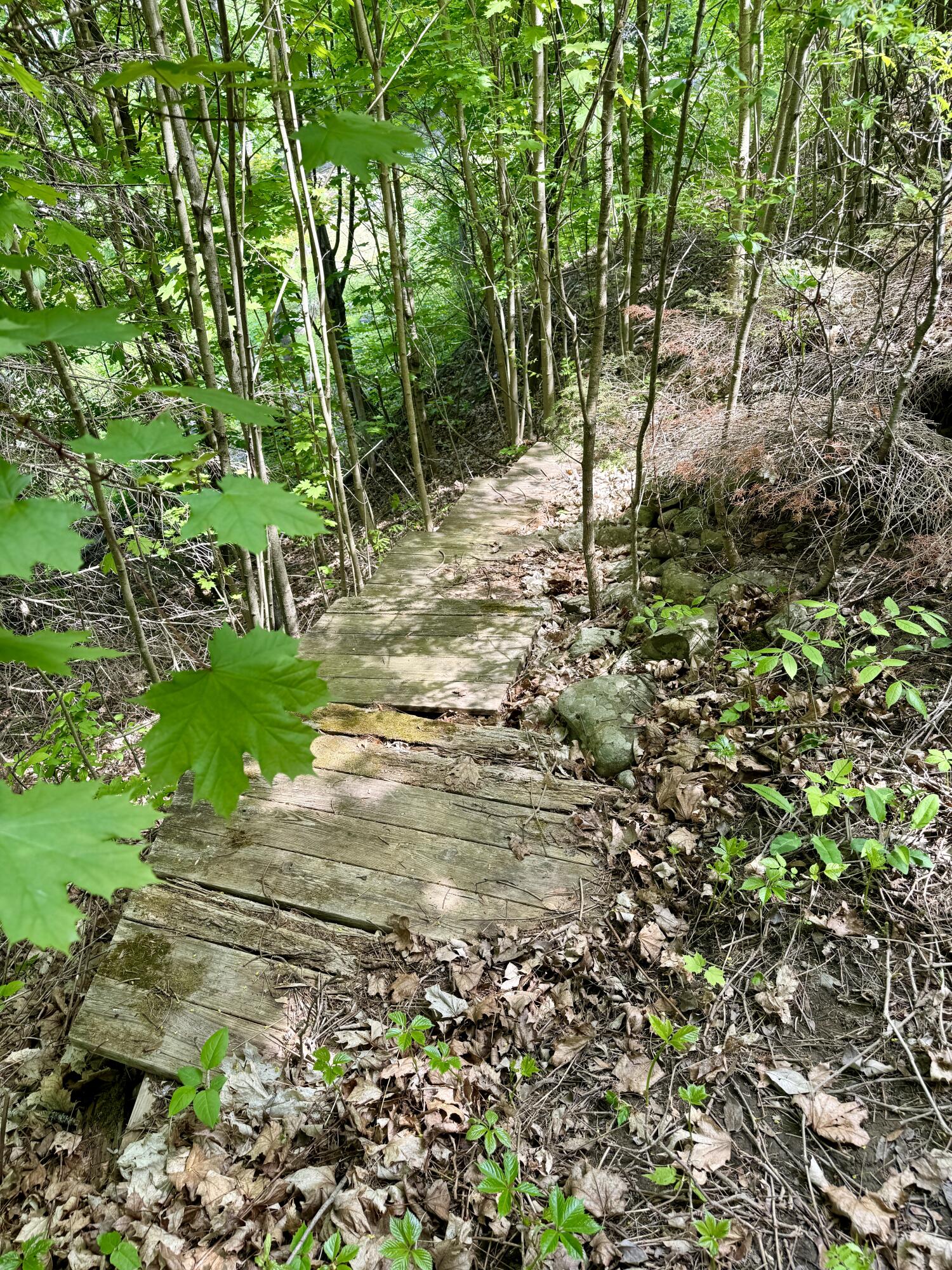 15 Whitney Street Property Photo 8