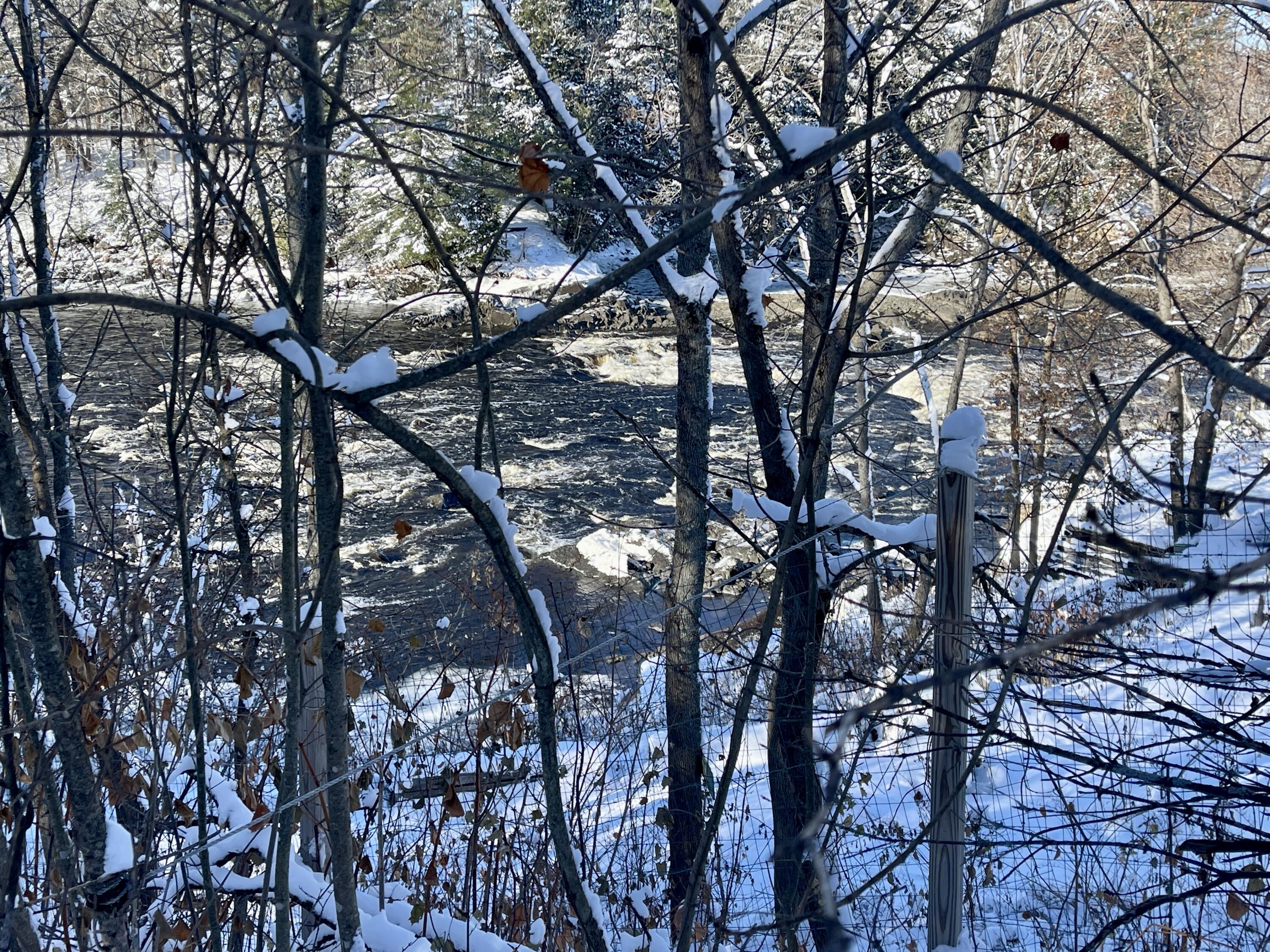 15 Whitney Street Property Photo 18
