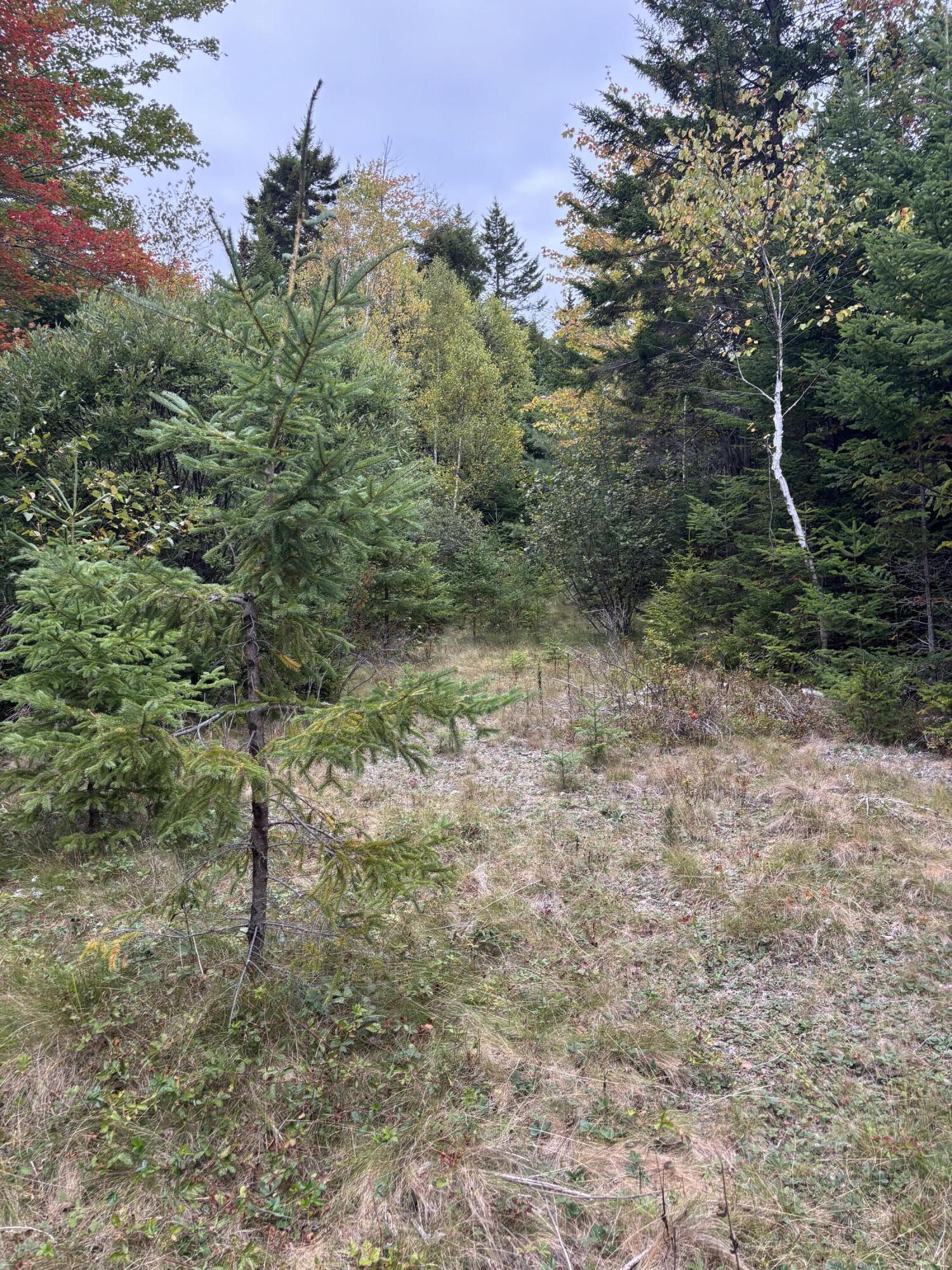 M20l2 East Side Road Property Photo 11