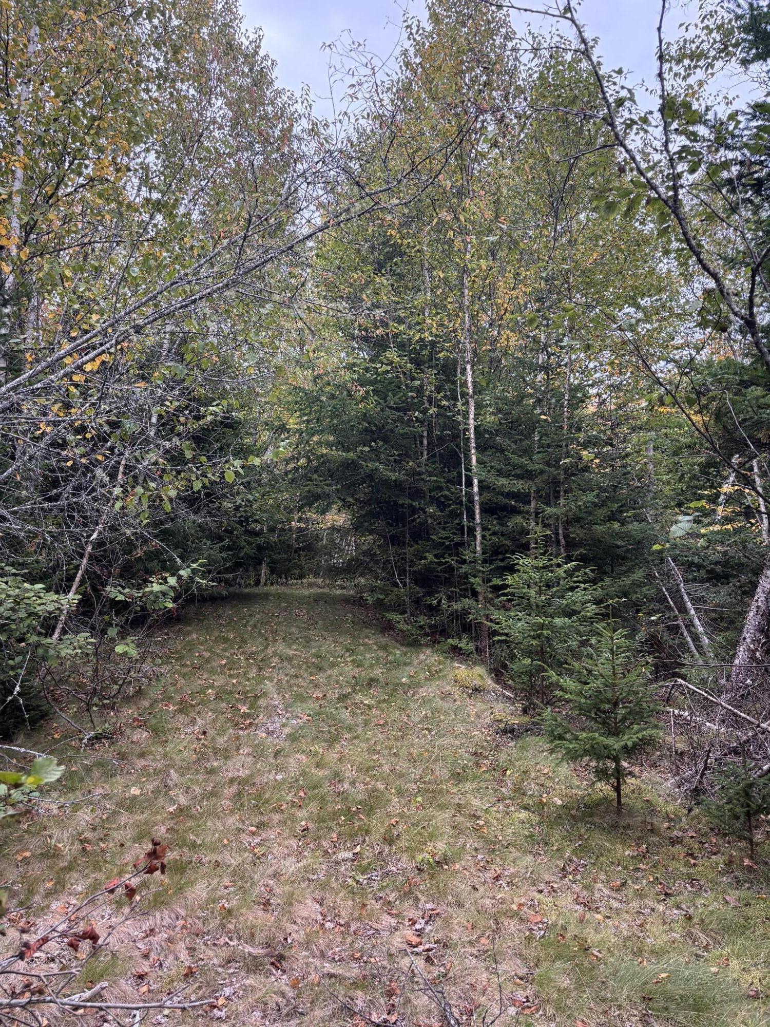 M20l2 East Side Road Property Photo 12