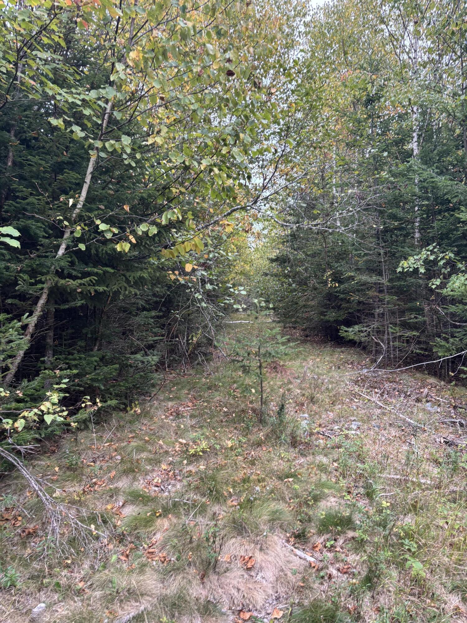 M20l2 East Side Road Property Photo 13