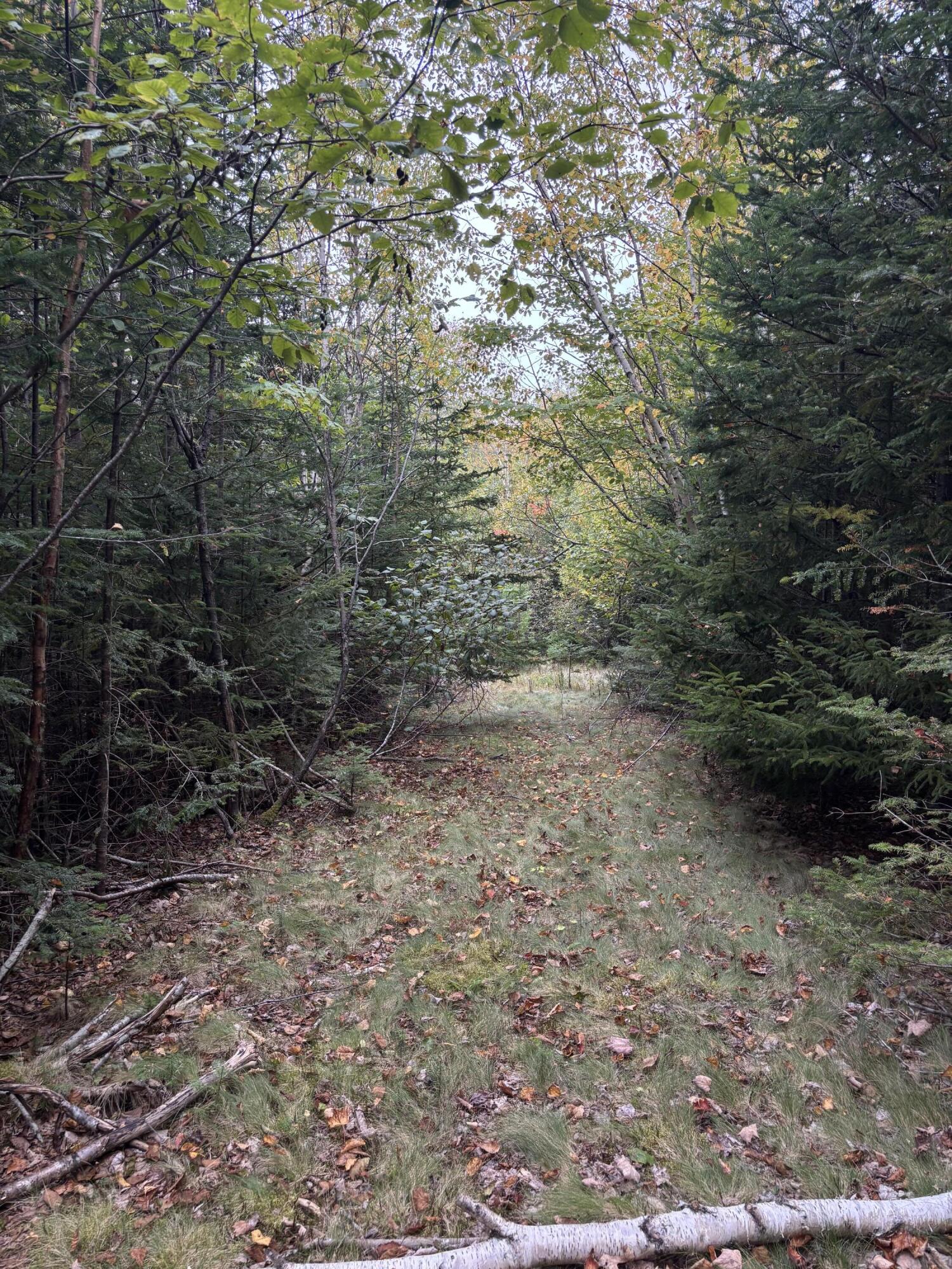 M20l2 East Side Road Property Photo 14