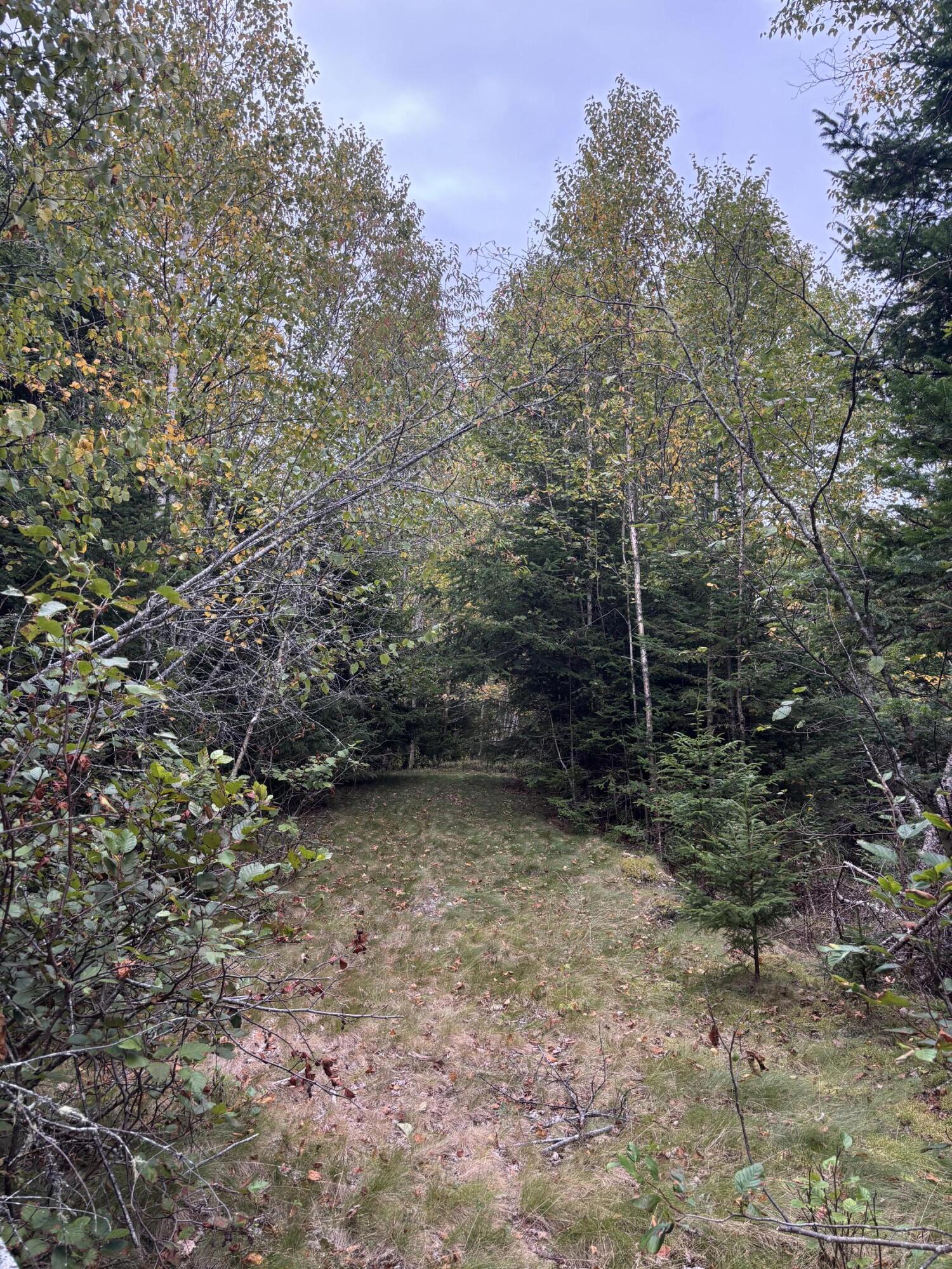 M20l2 East Side Road Property Photo 15