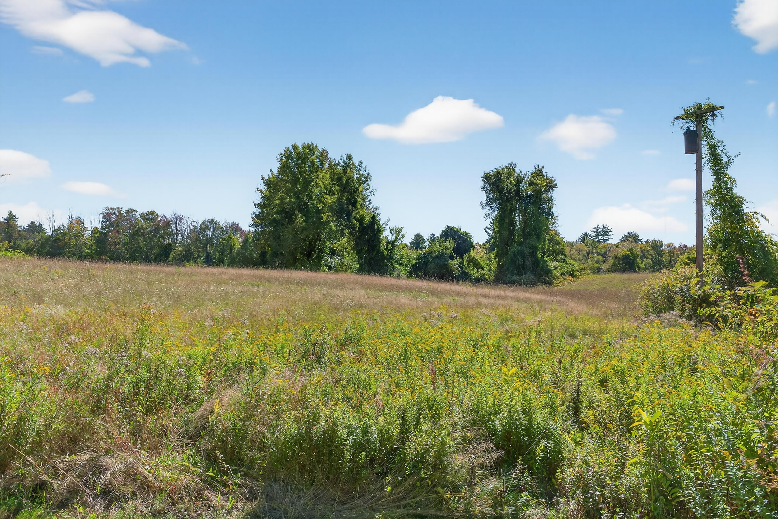 Tbd Elm Street Property Photo 15