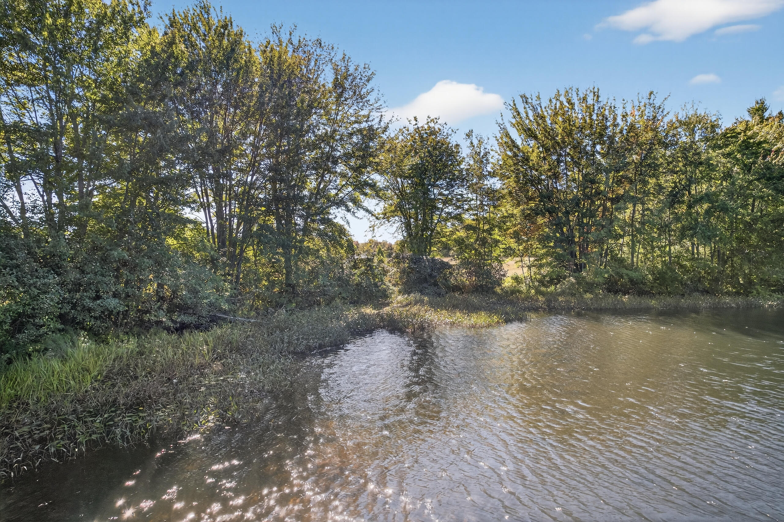 Tbd Elm Street Property Photo 17