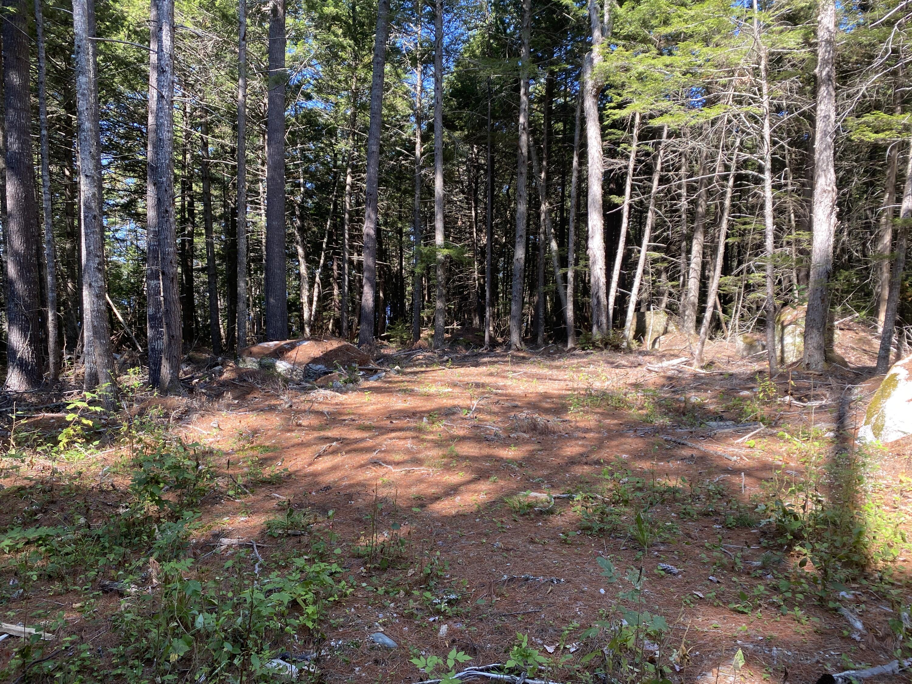 M06-lot18 Sys Road Property Photo 6