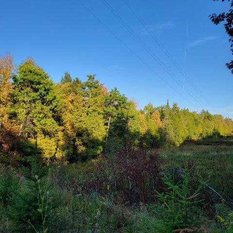 M14l17 Pattagumpus Road Property Photo 1