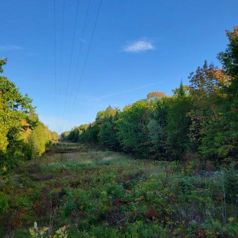 M14l17 Pattagumpus Road Property Photo 3