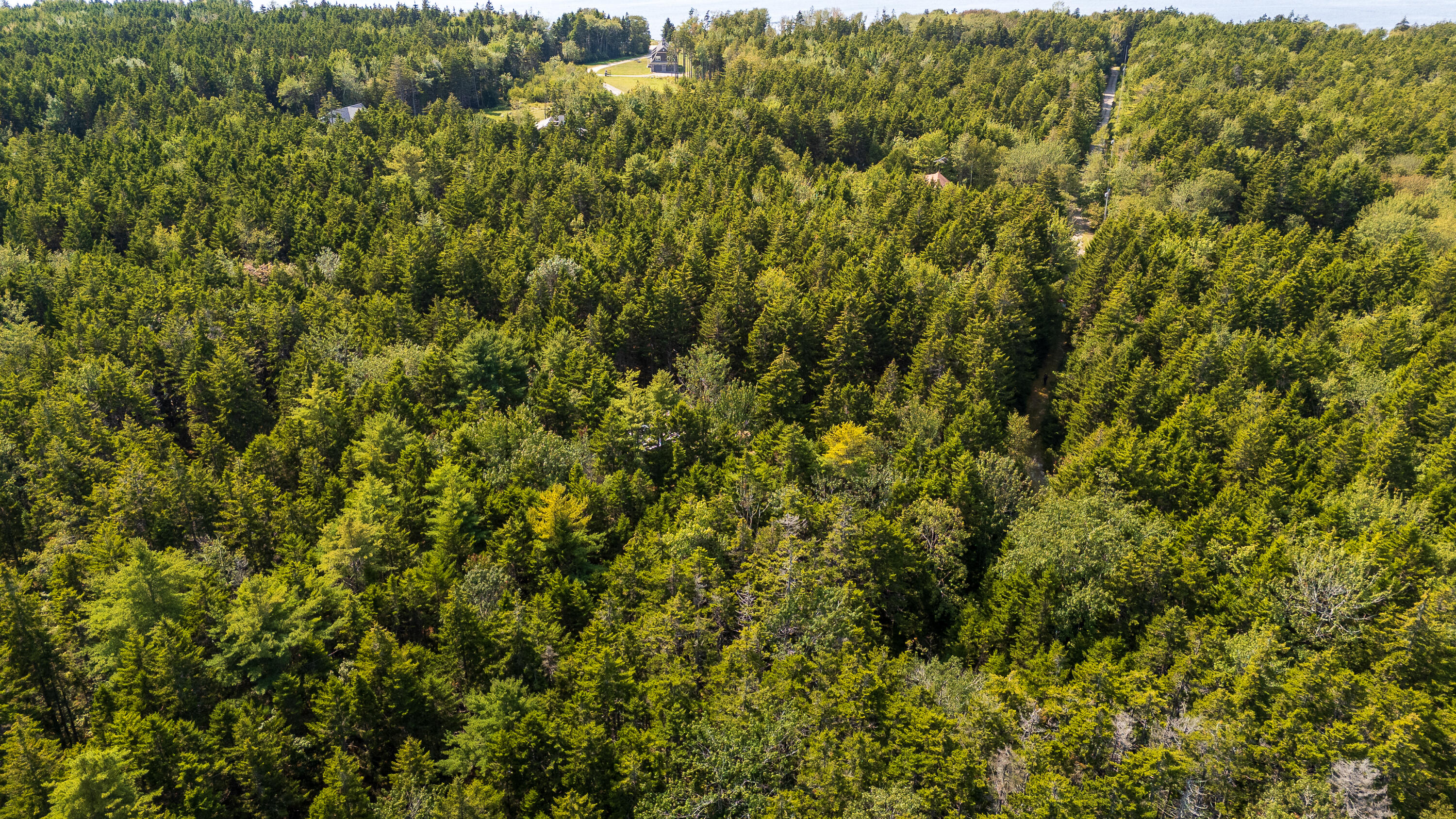 Lot 11 Nahanada Road Property Photo 15