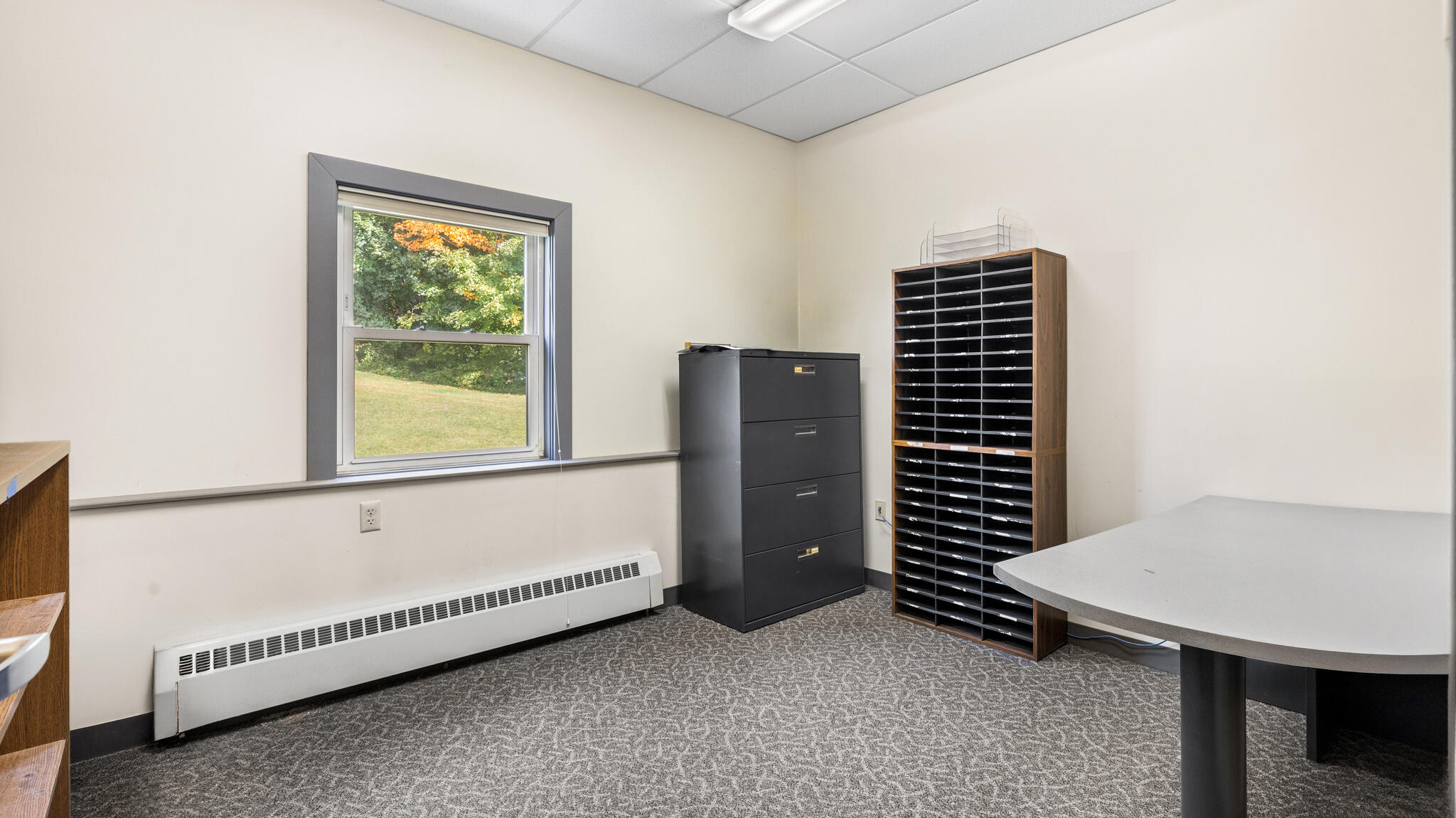 50 Mayo Street Property Photo 27