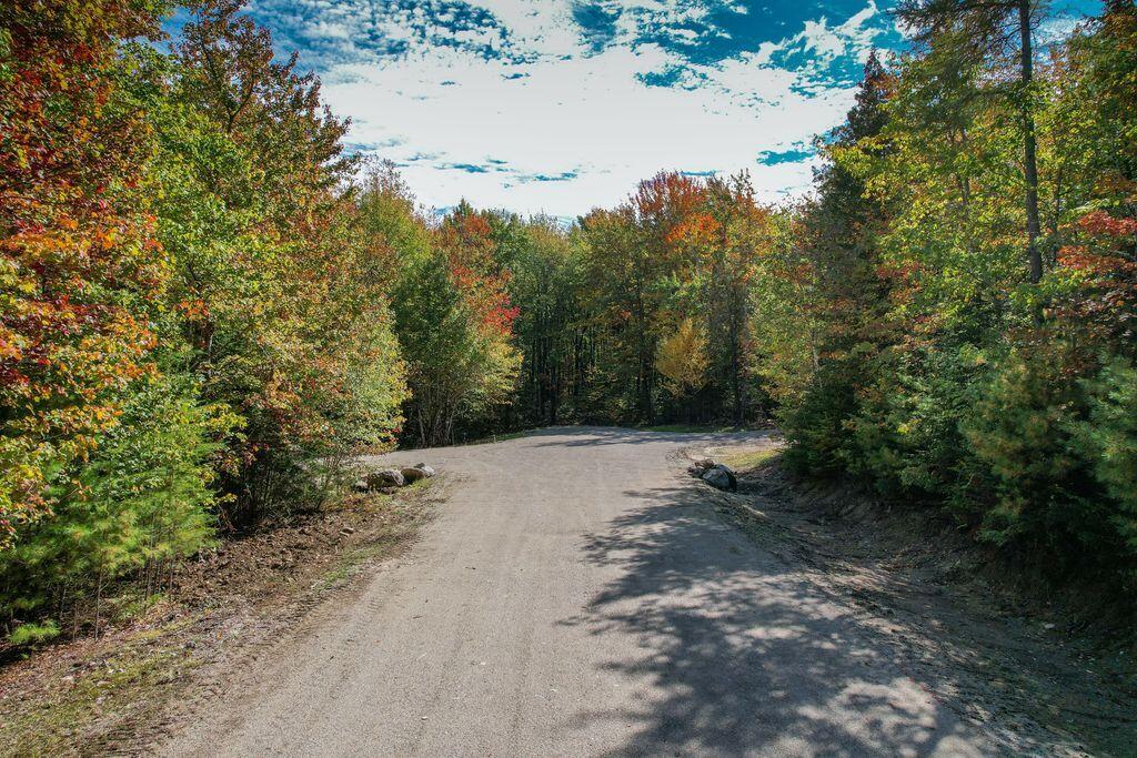 Lot 9 Foggy Ridge Way Property Photo 5