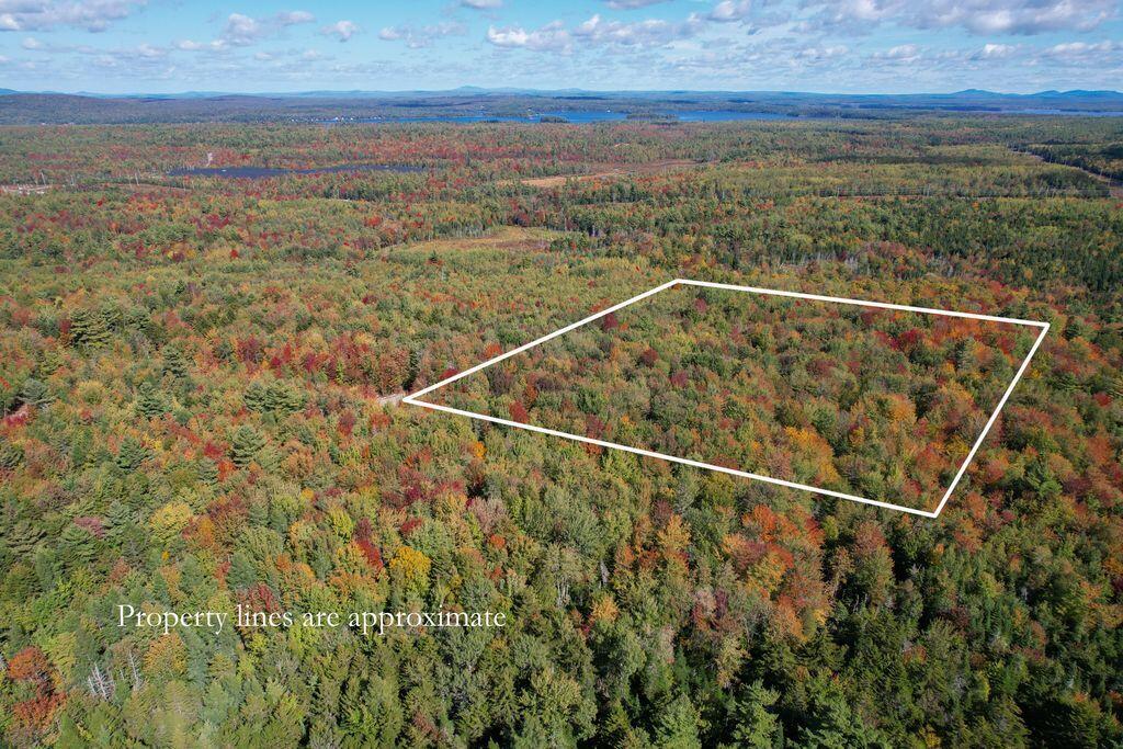 Lot 9 Foggy Ridge Way Property Photo 6