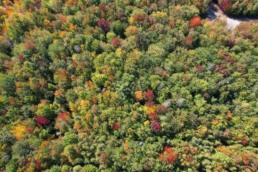 Lot 9 Foggy Ridge Way Property Photo 7