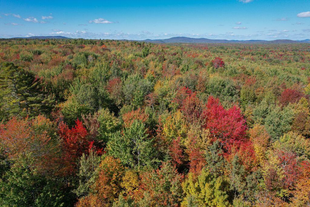 Lot 9 Foggy Ridge Way Property Photo 9