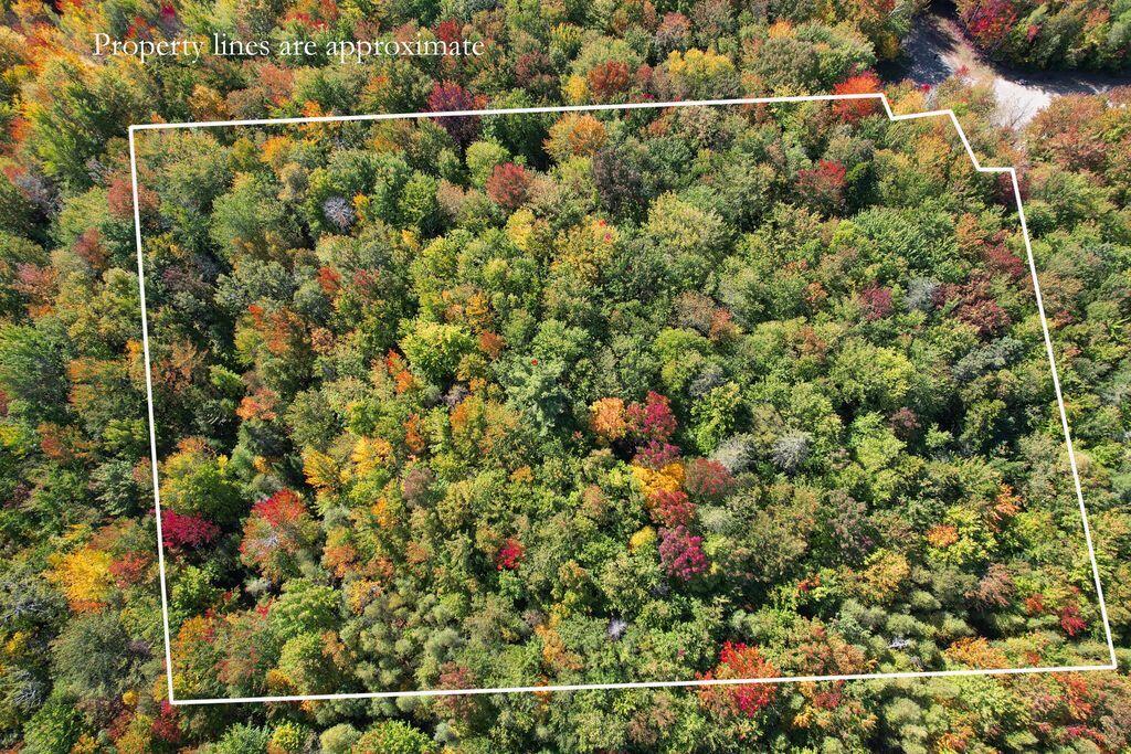 Lot 9 Foggy Ridge Way Property Photo 10