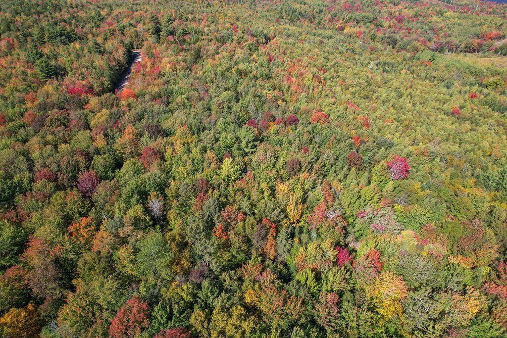 Lot 9 Foggy Ridge Way Property Photo 13