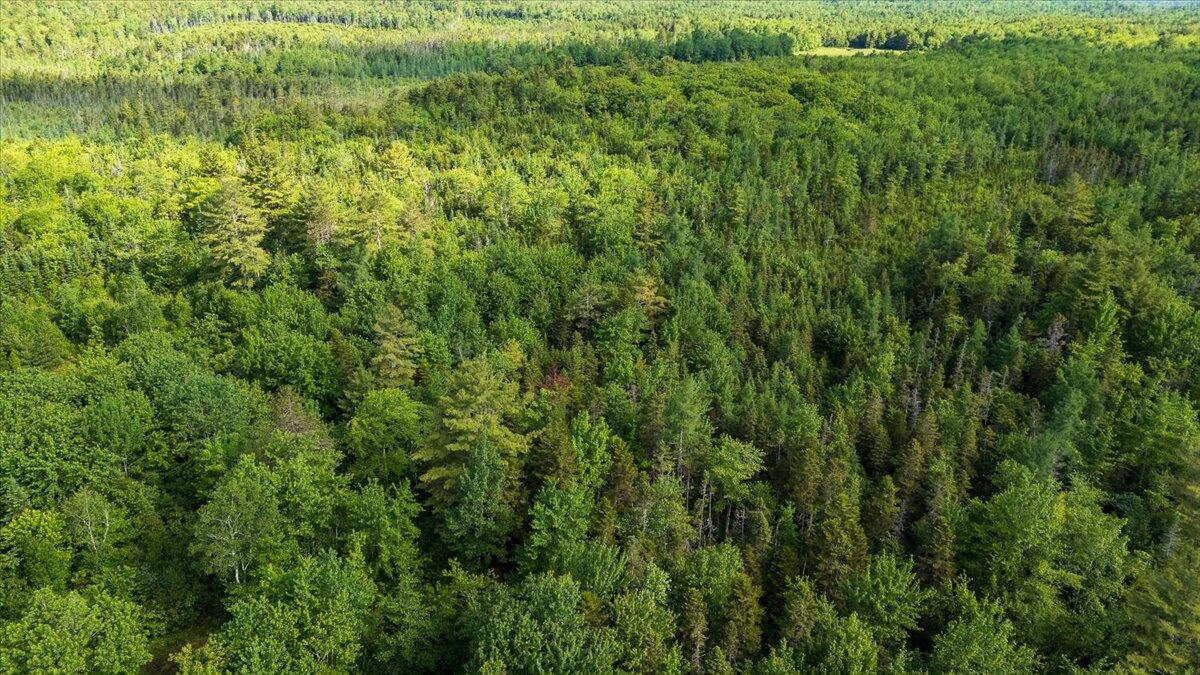 Map 7 Lot 8-1 Cushing Road Property Photo 6