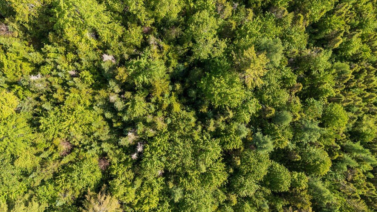 Map 7 Lot 8-1 Cushing Road Property Photo 7