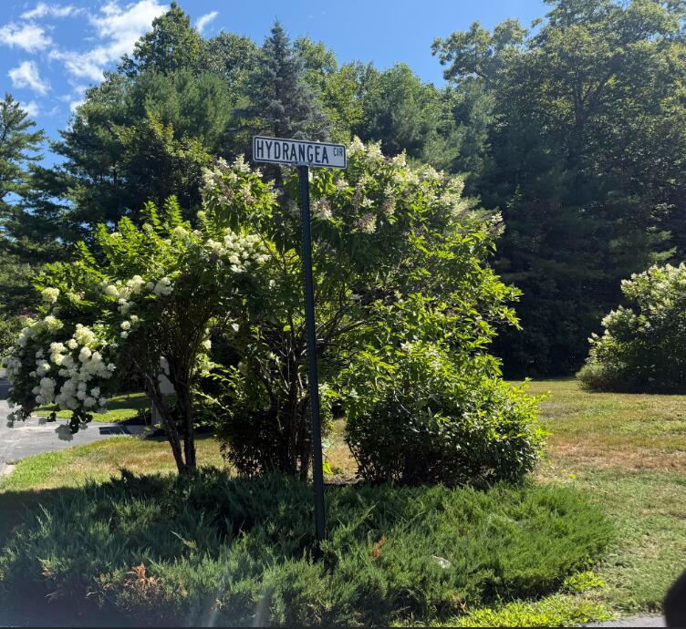 83 Hydrangea Circle 11 Property Photo 14