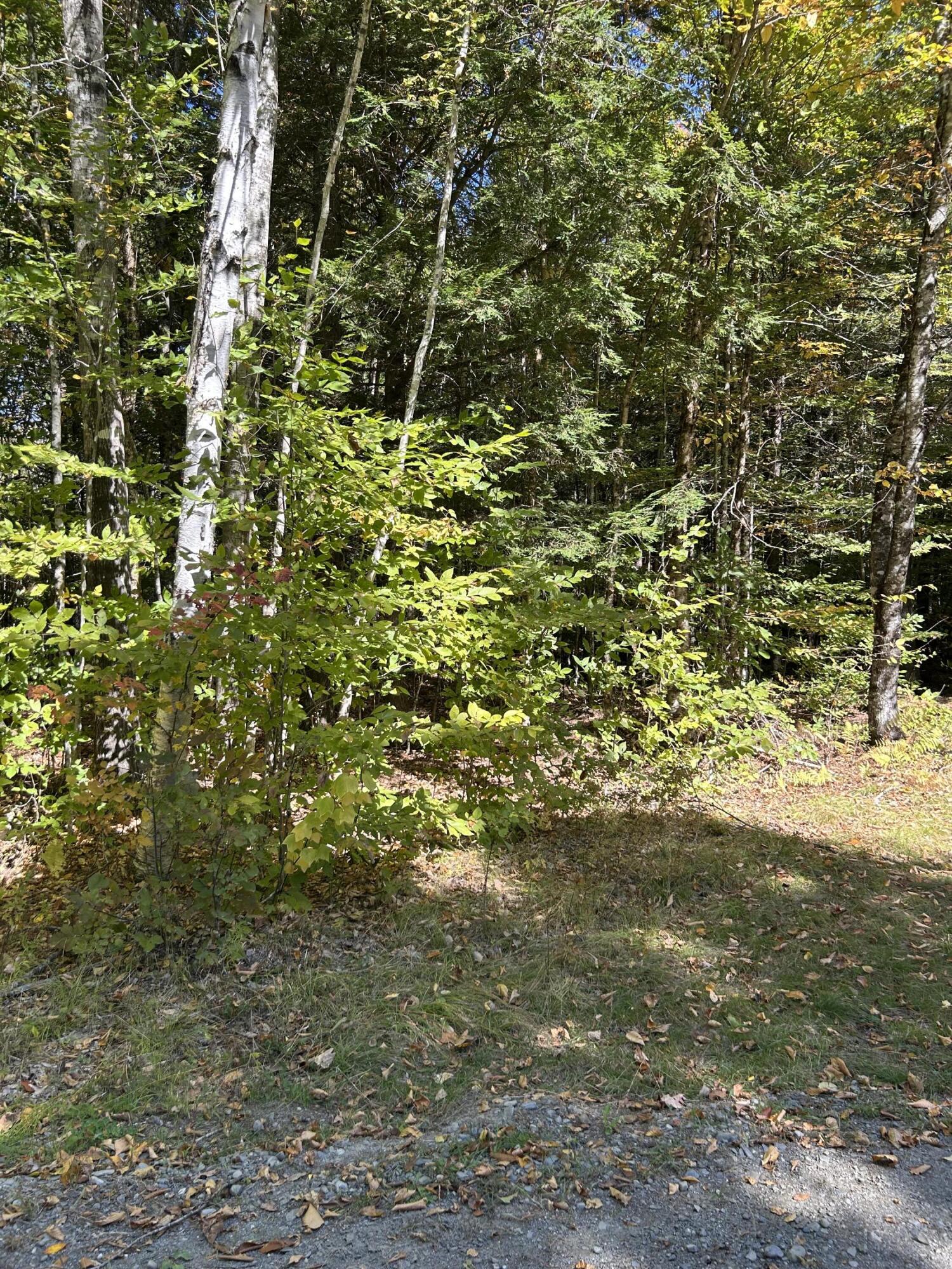 M6l16-12-3 Beaverbrook Road Property Photo 2