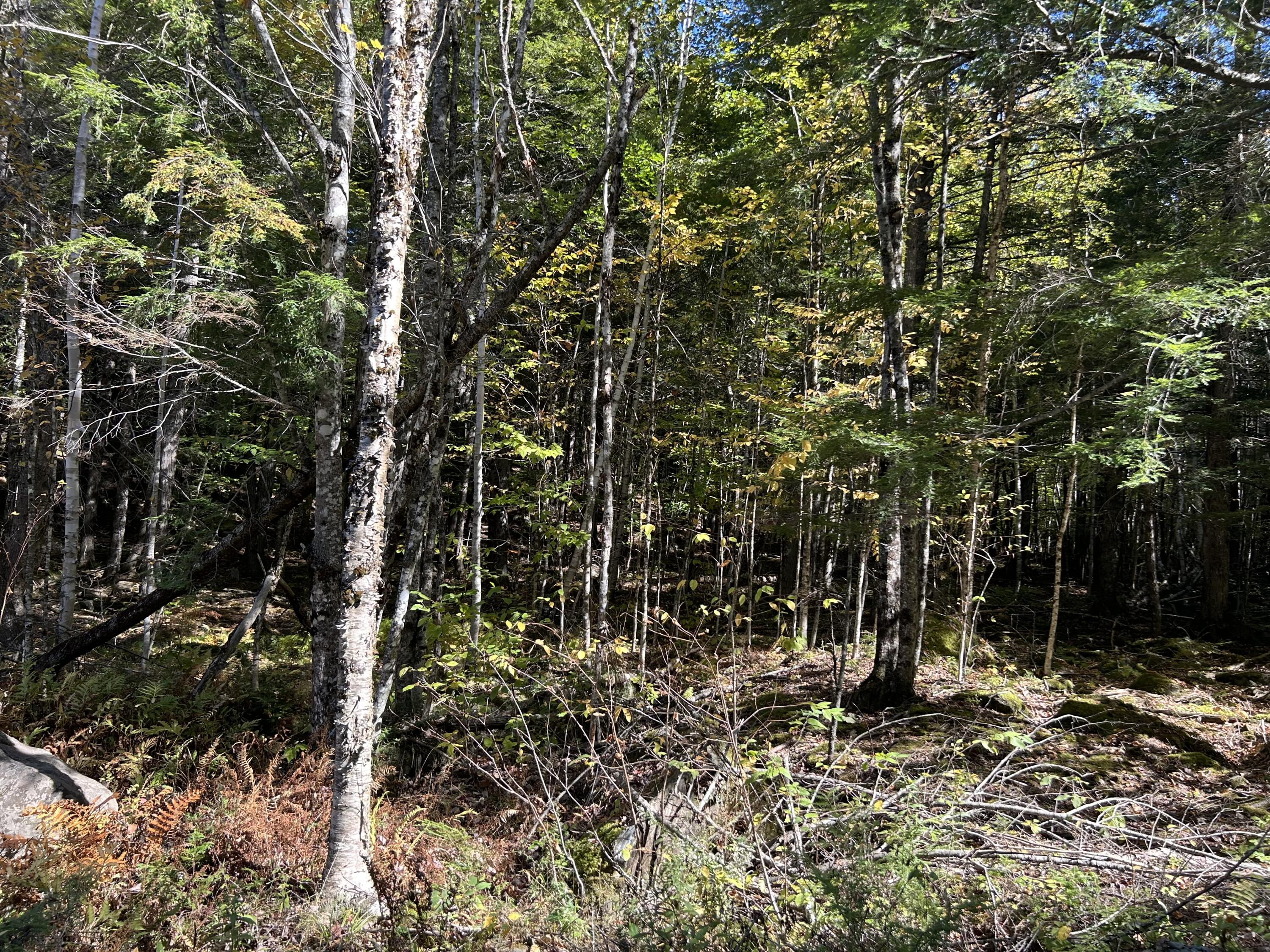M6l16-12-3 Beaverbrook Road Property Photo 4