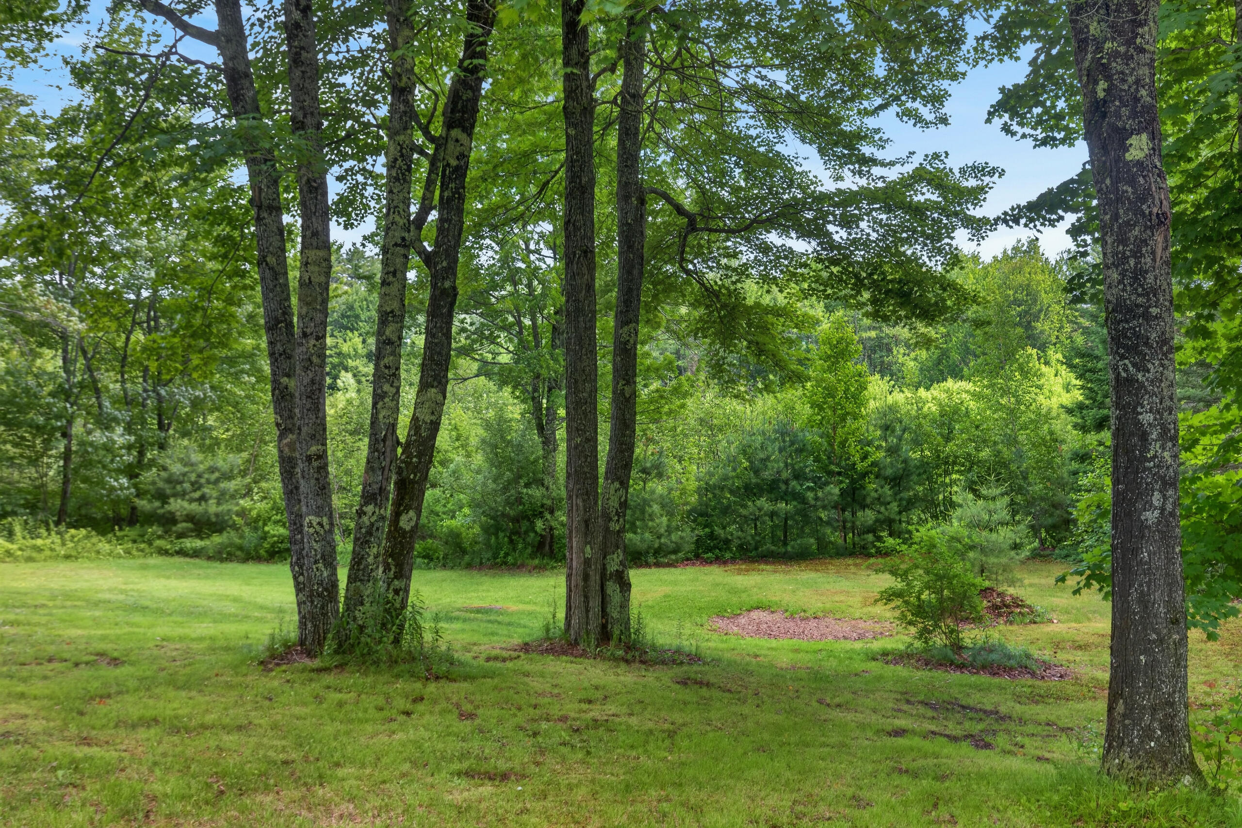 105 River Road Property Photo 14
