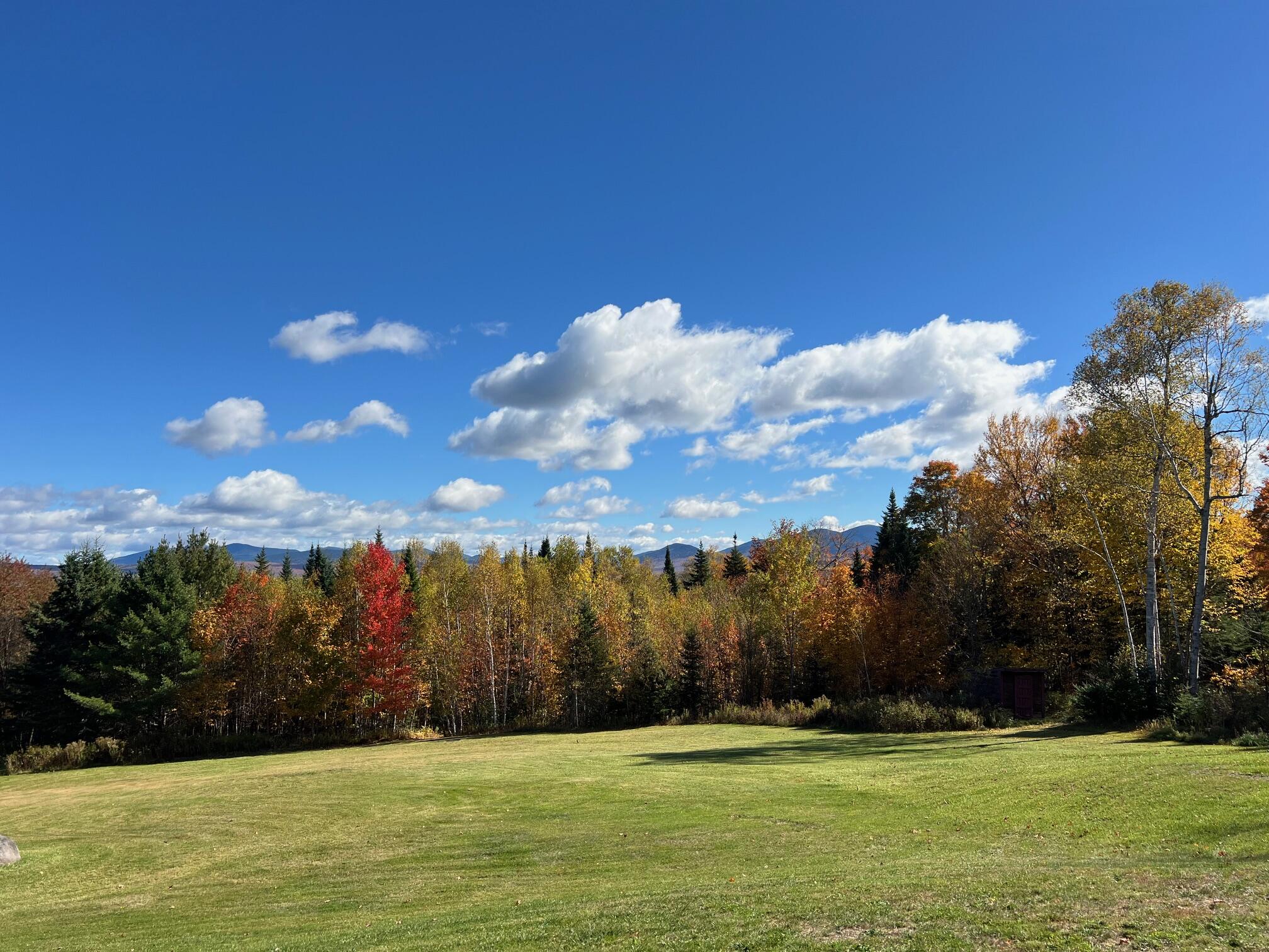577 Loon Lake Road Property Photo 3