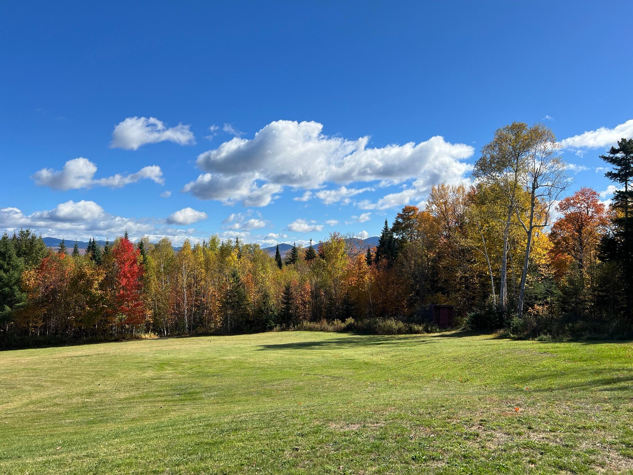 577 Loon Lake Road Property Photo 63
