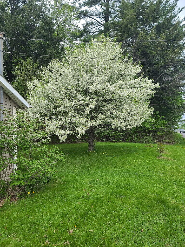 399 Wilton Road Property Photo 25