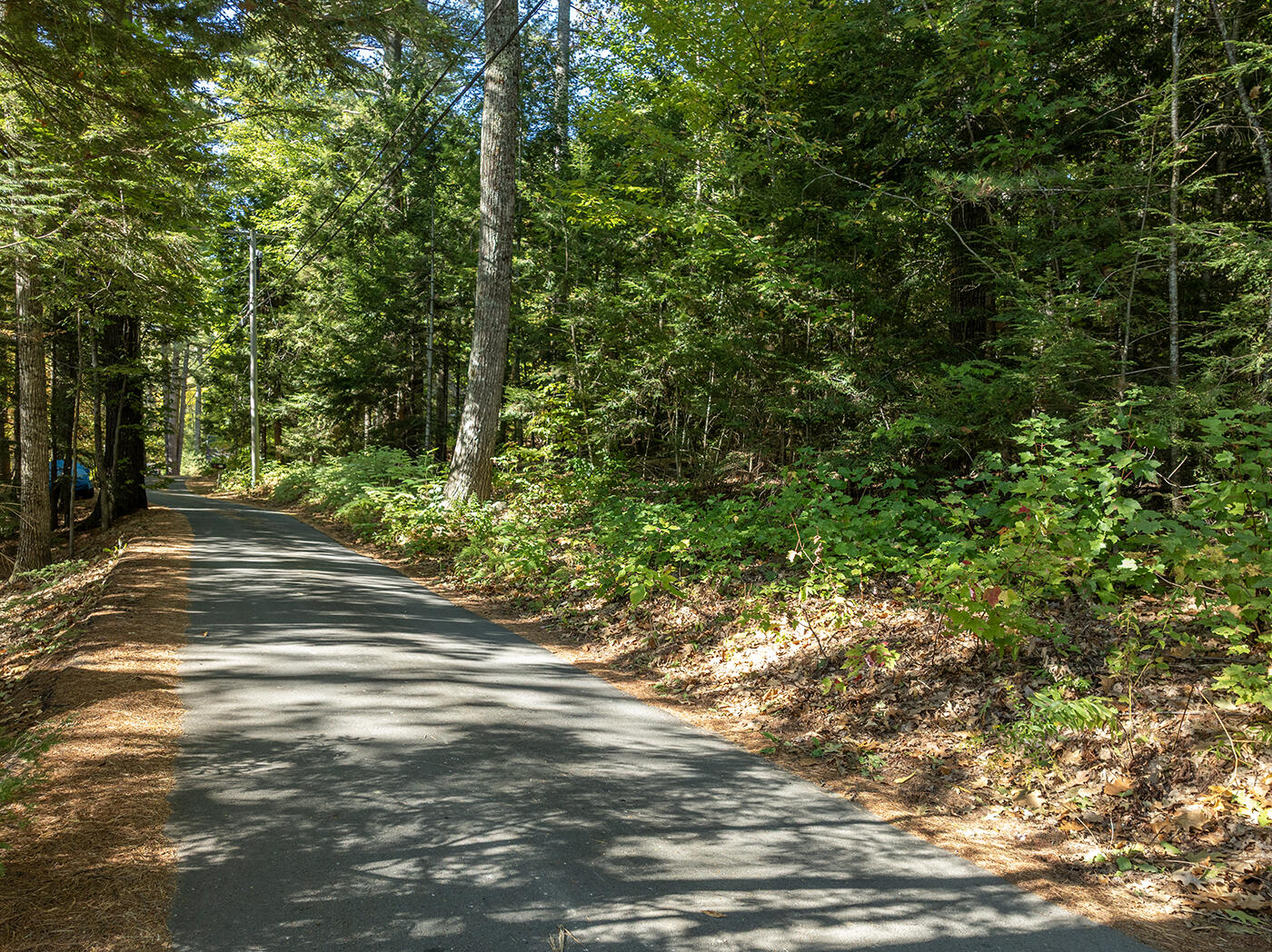 68 Norton Pond Road Property Photo 31