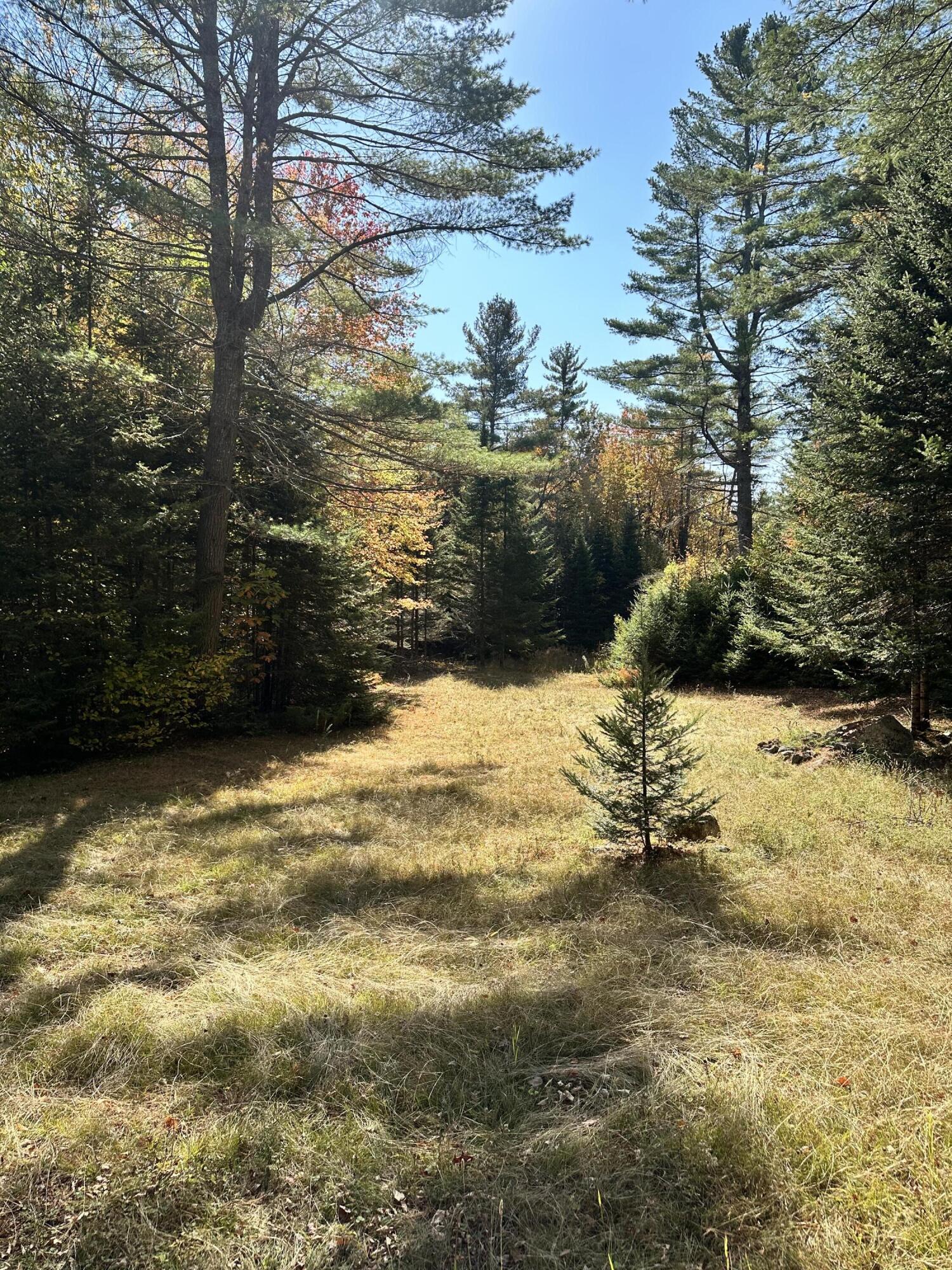 Lot 19 Moody Brook Road Property Photo 20