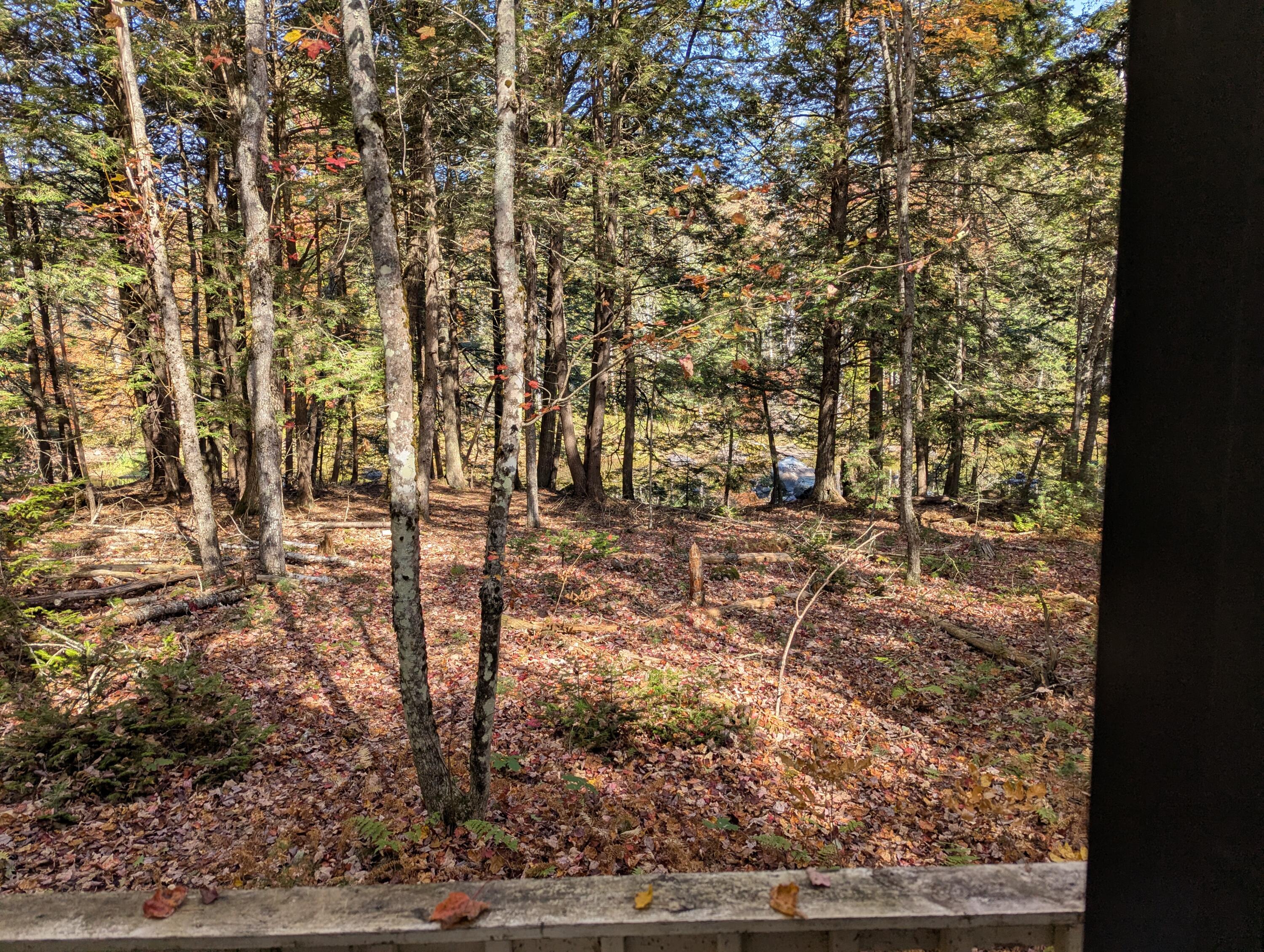 755 Winslows Mills Road N Property Photo 7