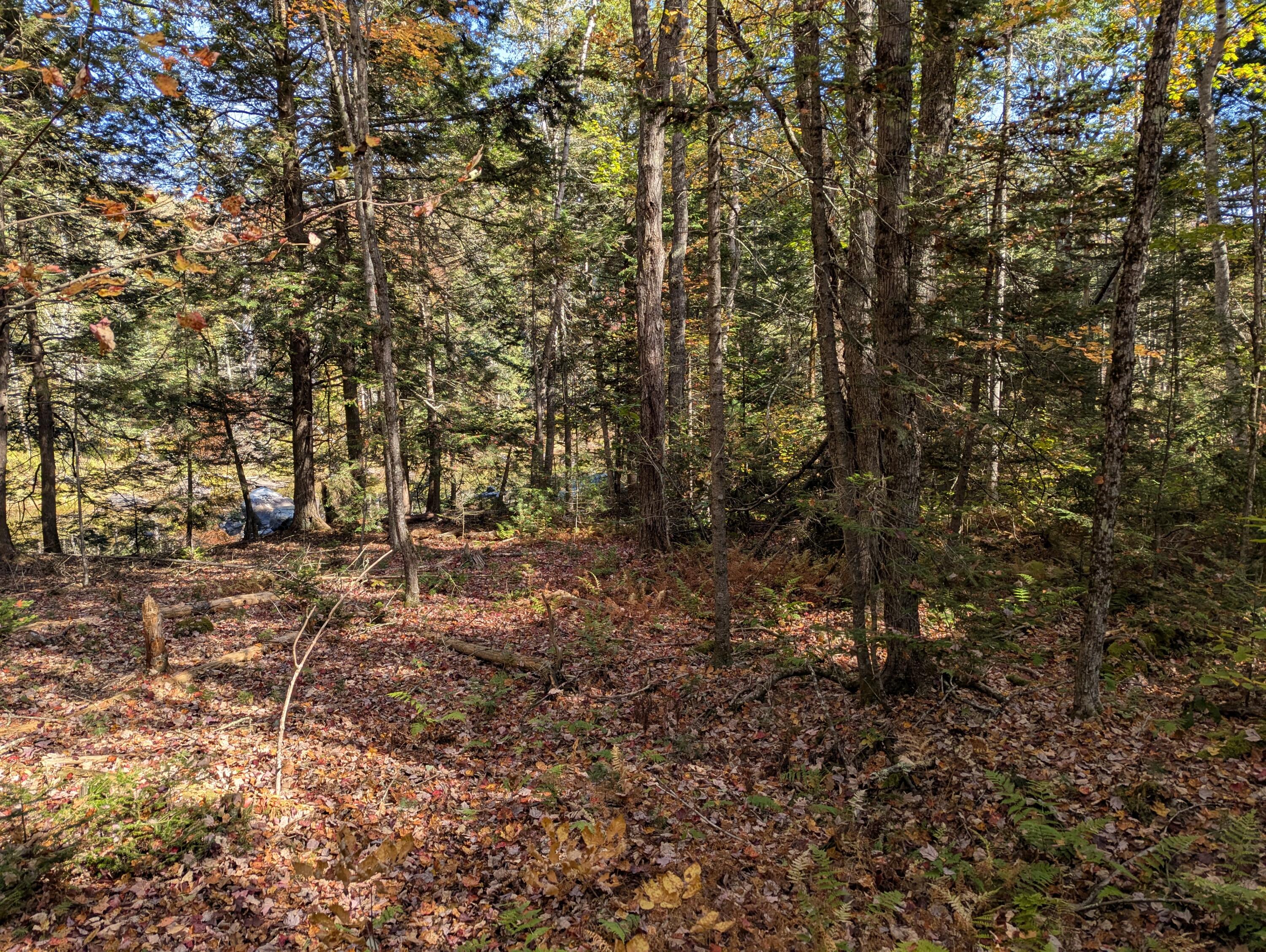 755 Winslows Mills Road N Property Photo 8