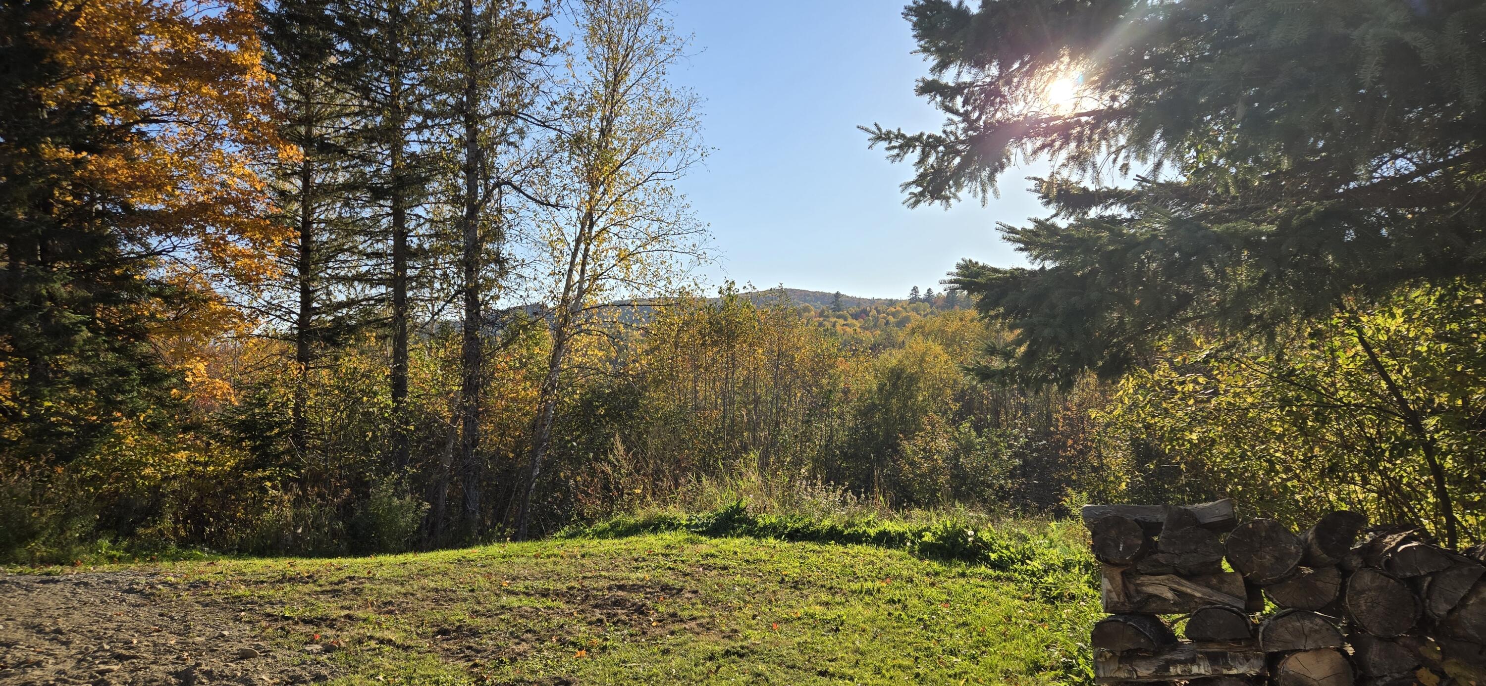 1537 Main Street Property Photo 5